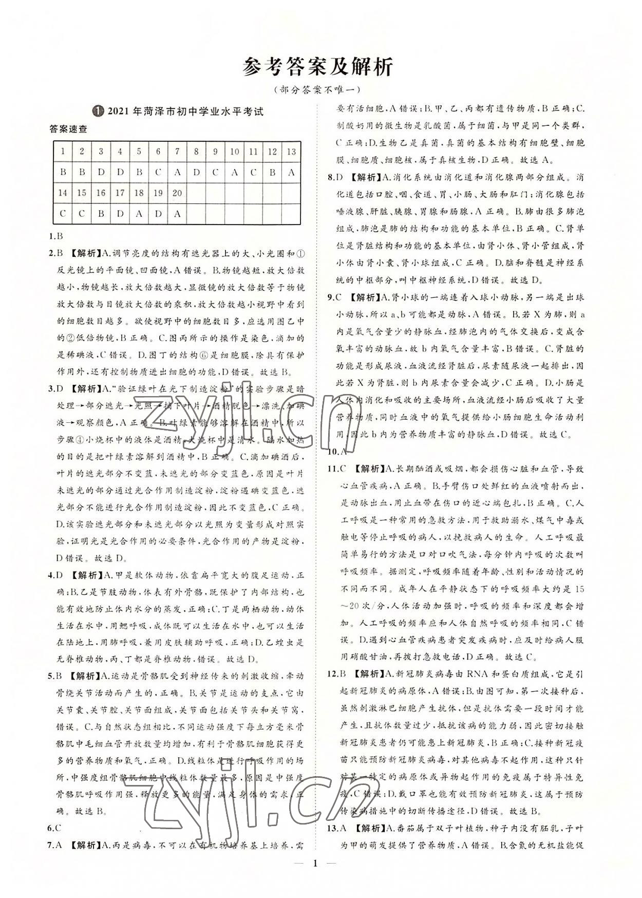 2022年3年真題2年模擬1年預測生物菏澤專版 參考答案第1頁