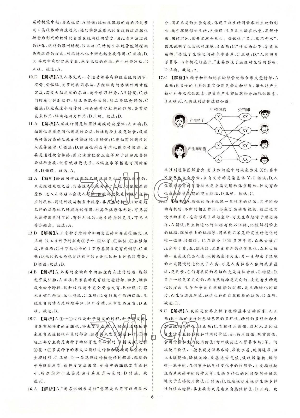 2022年3年真題2年模擬1年預(yù)測生物菏澤專版 參考答案第6頁