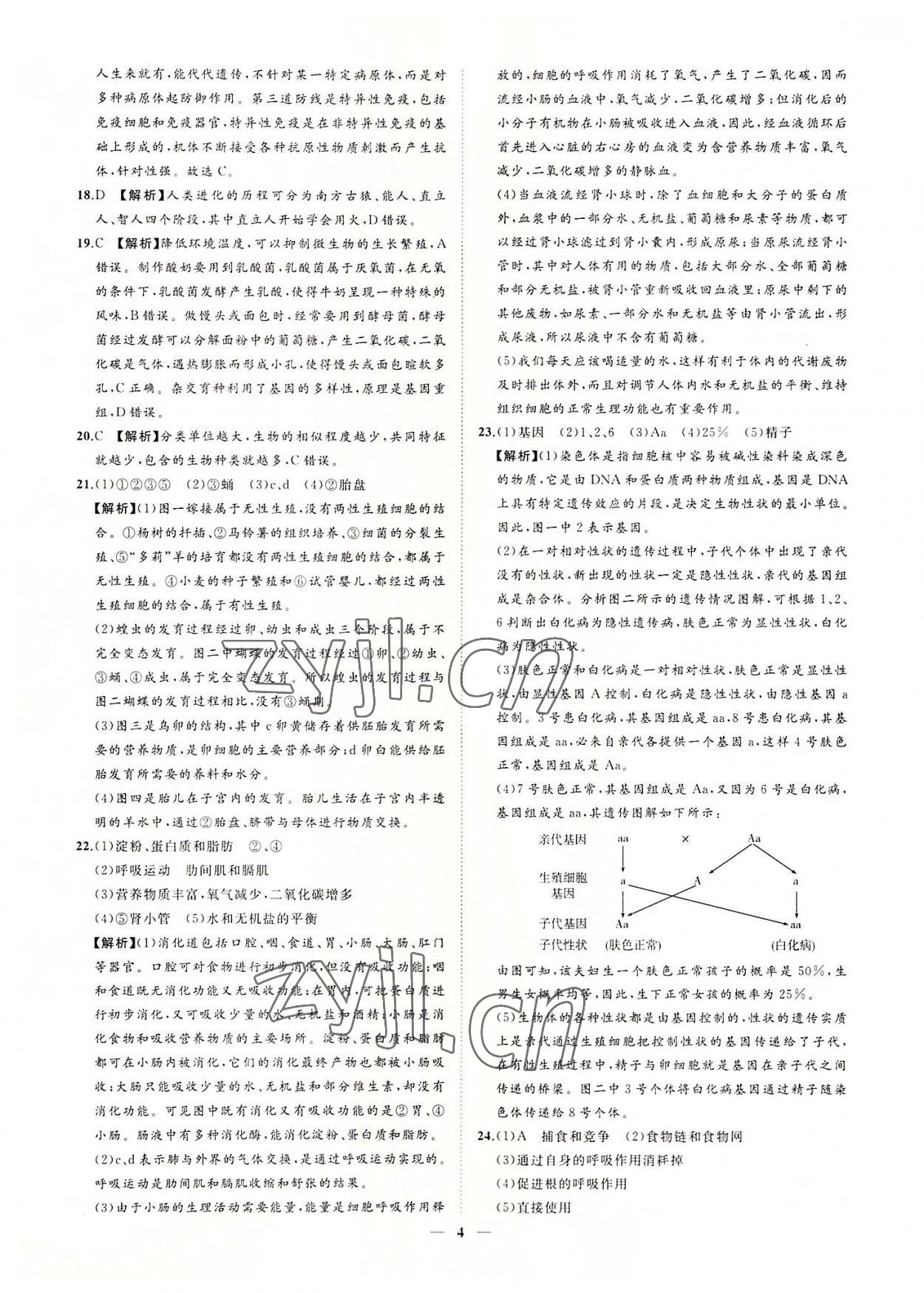 2022年3年真題2年模擬1年預(yù)測生物菏澤專版 參考答案第4頁