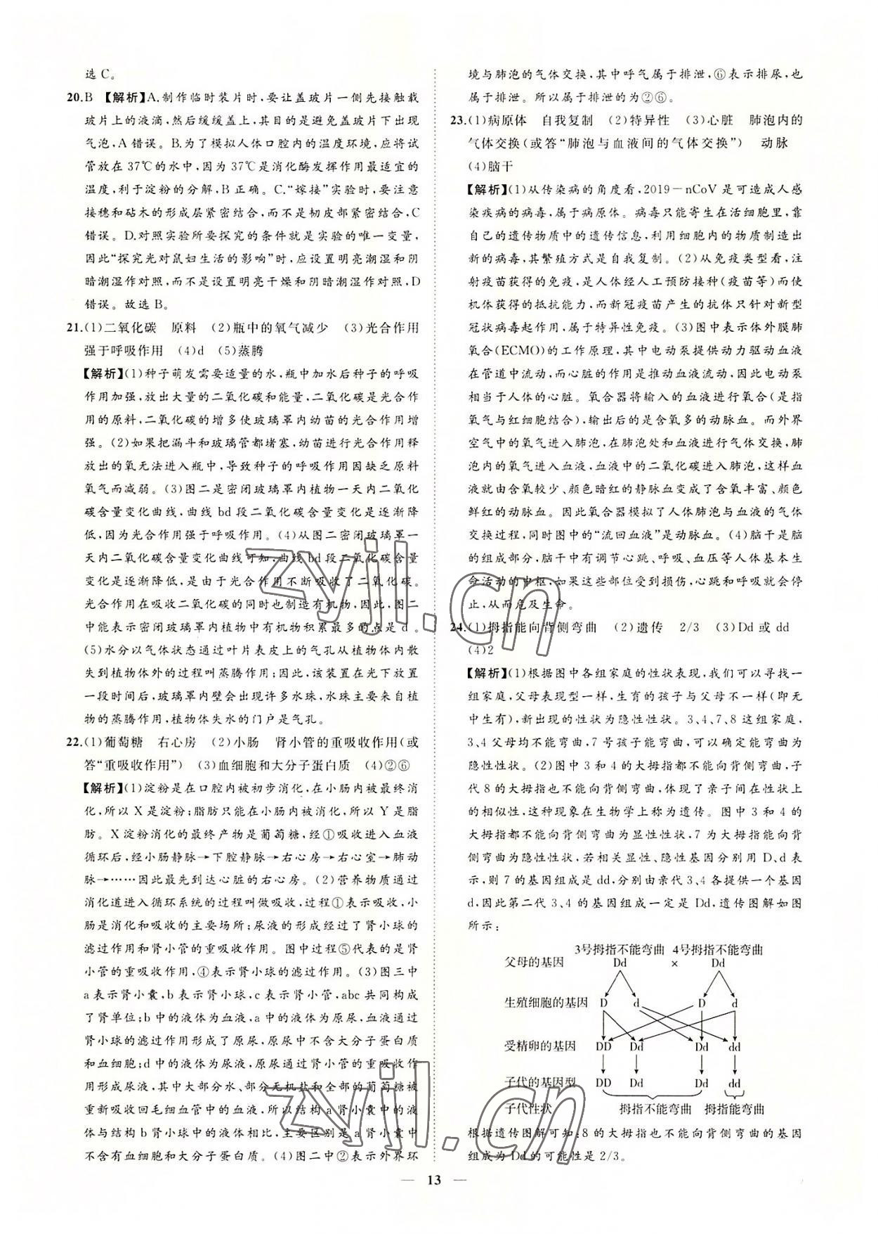 2022年3年真題2年模擬1年預(yù)測(cè)生物菏澤專版 參考答案第13頁(yè)