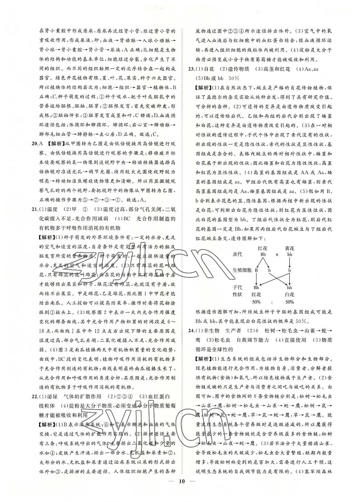 2022年3年真題2年模擬1年預(yù)測(cè)生物菏澤專版 參考答案第10頁(yè)