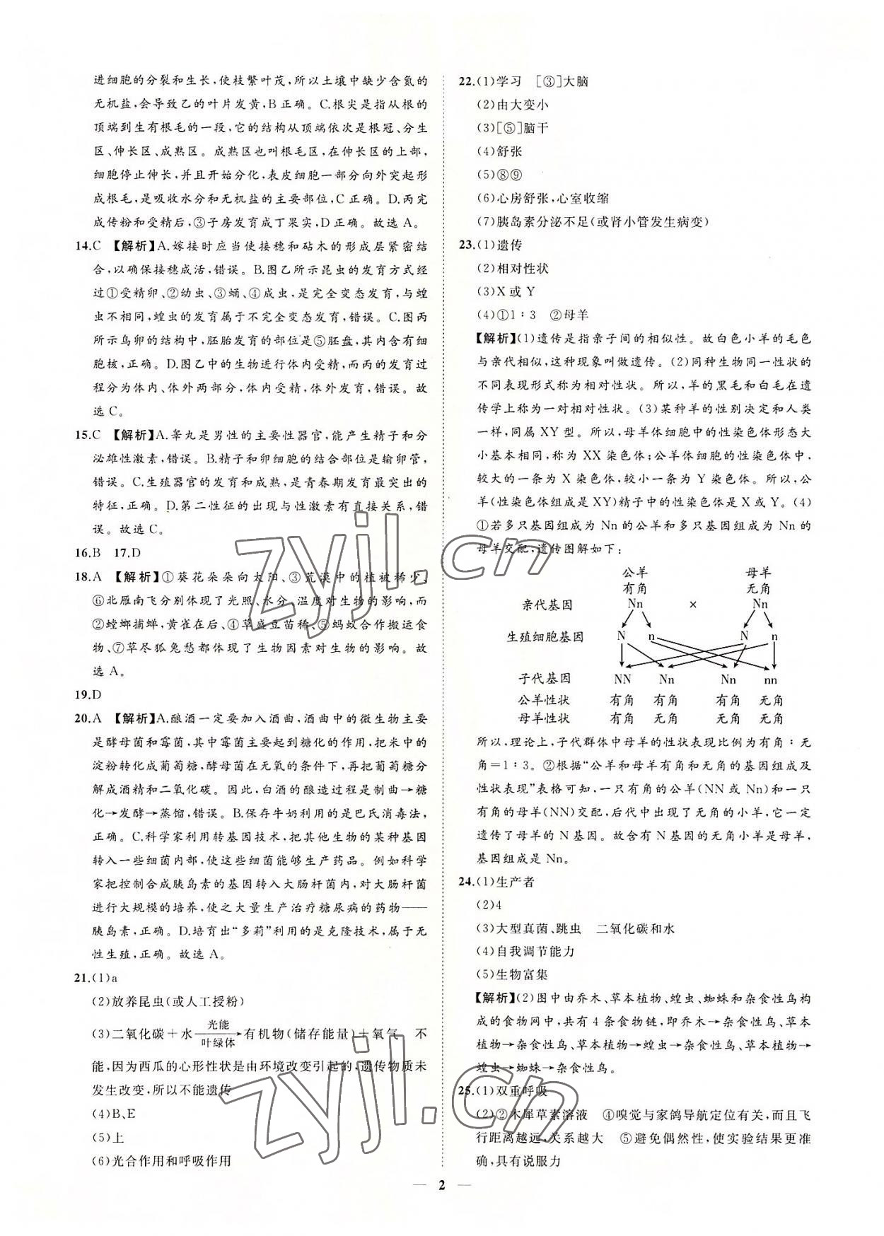 2022年3年真題2年模擬1年預(yù)測生物菏澤專版 參考答案第2頁