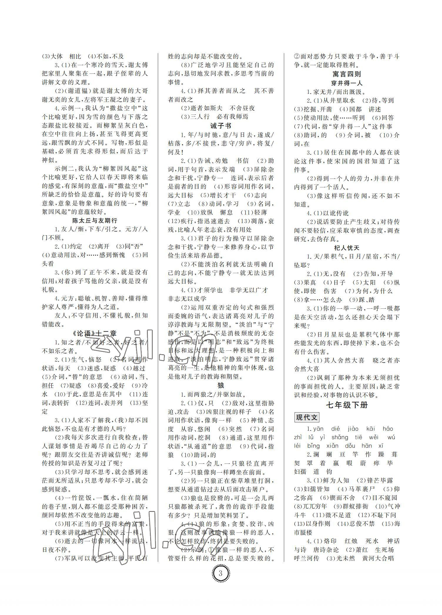 2022年初中總復習山東文藝出版社語文中考淄博專版 參考答案第3頁