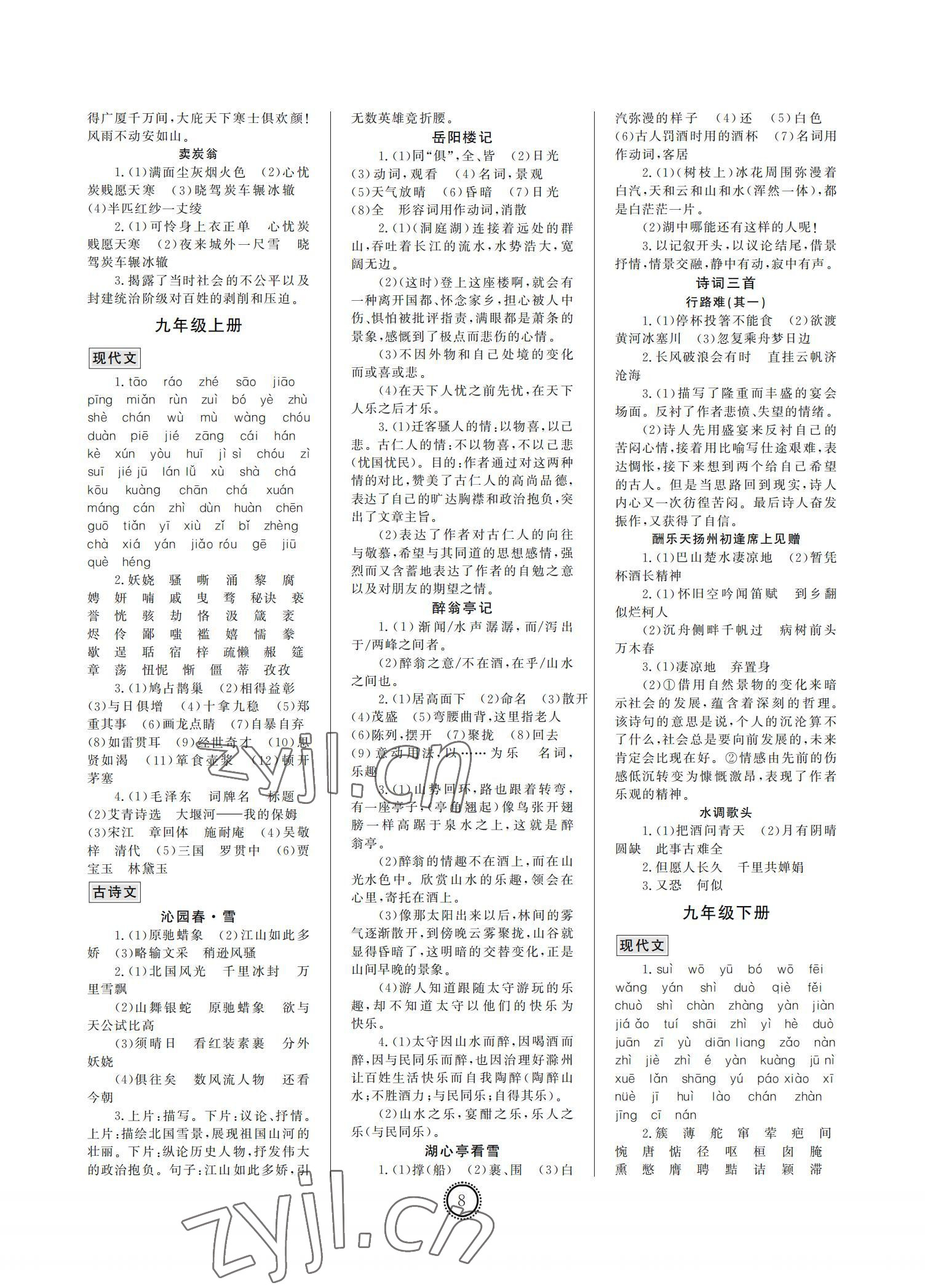 2022年初中總復(fù)習山東文藝出版社語文中考淄博專版 參考答案第8頁