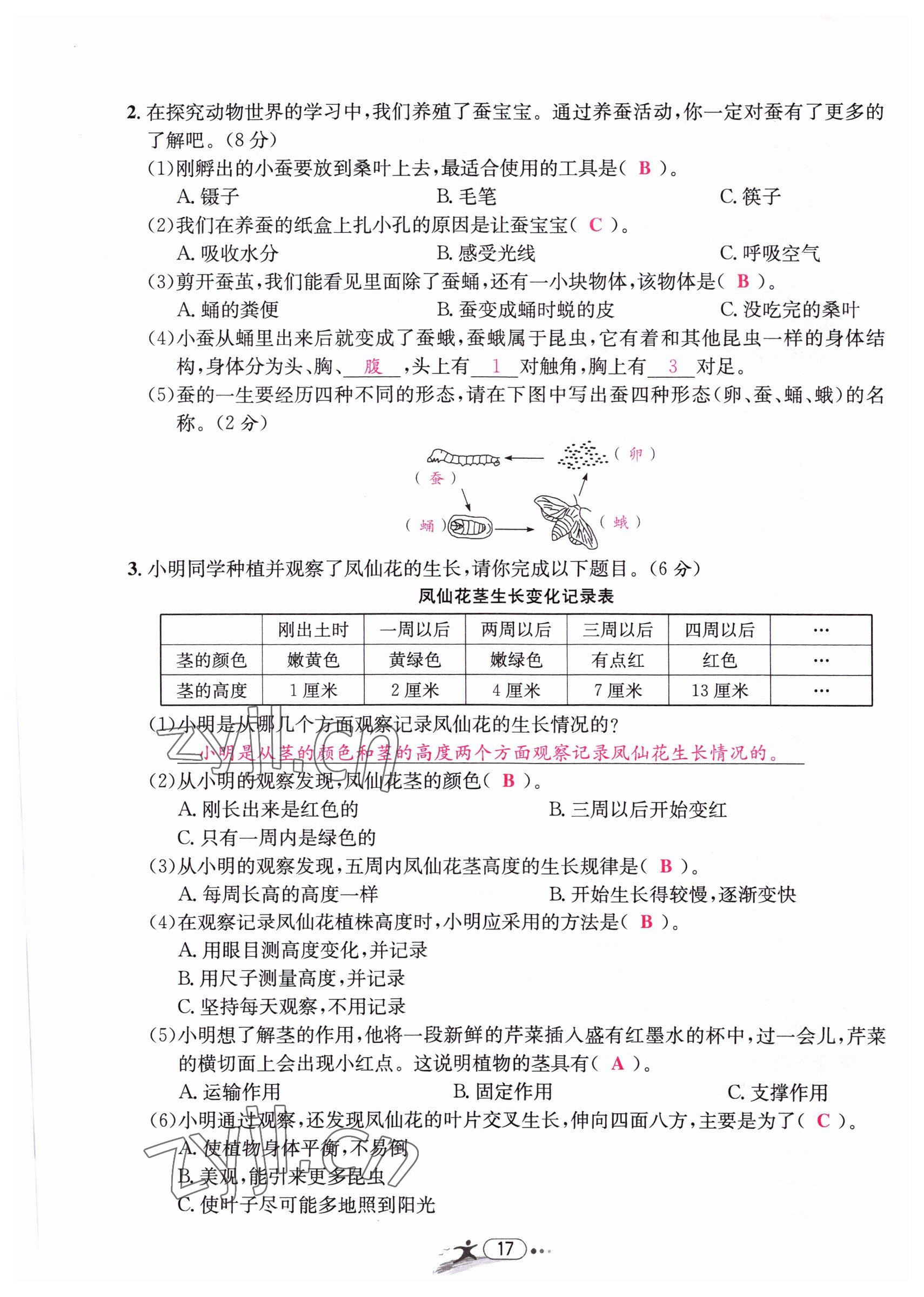 2022年小學(xué)畢業(yè)特訓(xùn)卷六年級(jí)科學(xué)溫州專版 第17頁