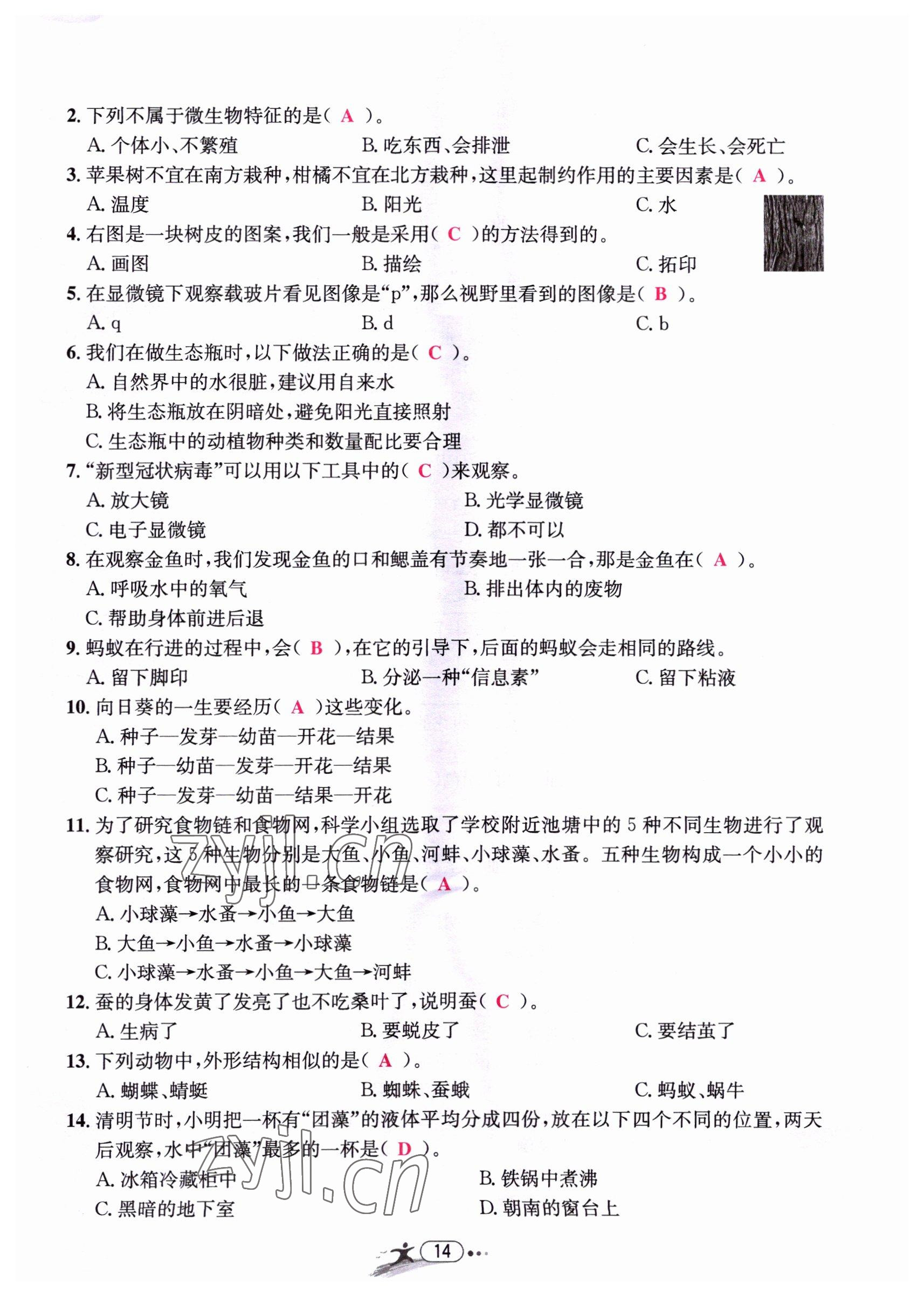 2022年小學(xué)畢業(yè)特訓(xùn)卷六年級(jí)科學(xué)溫州專版 第14頁