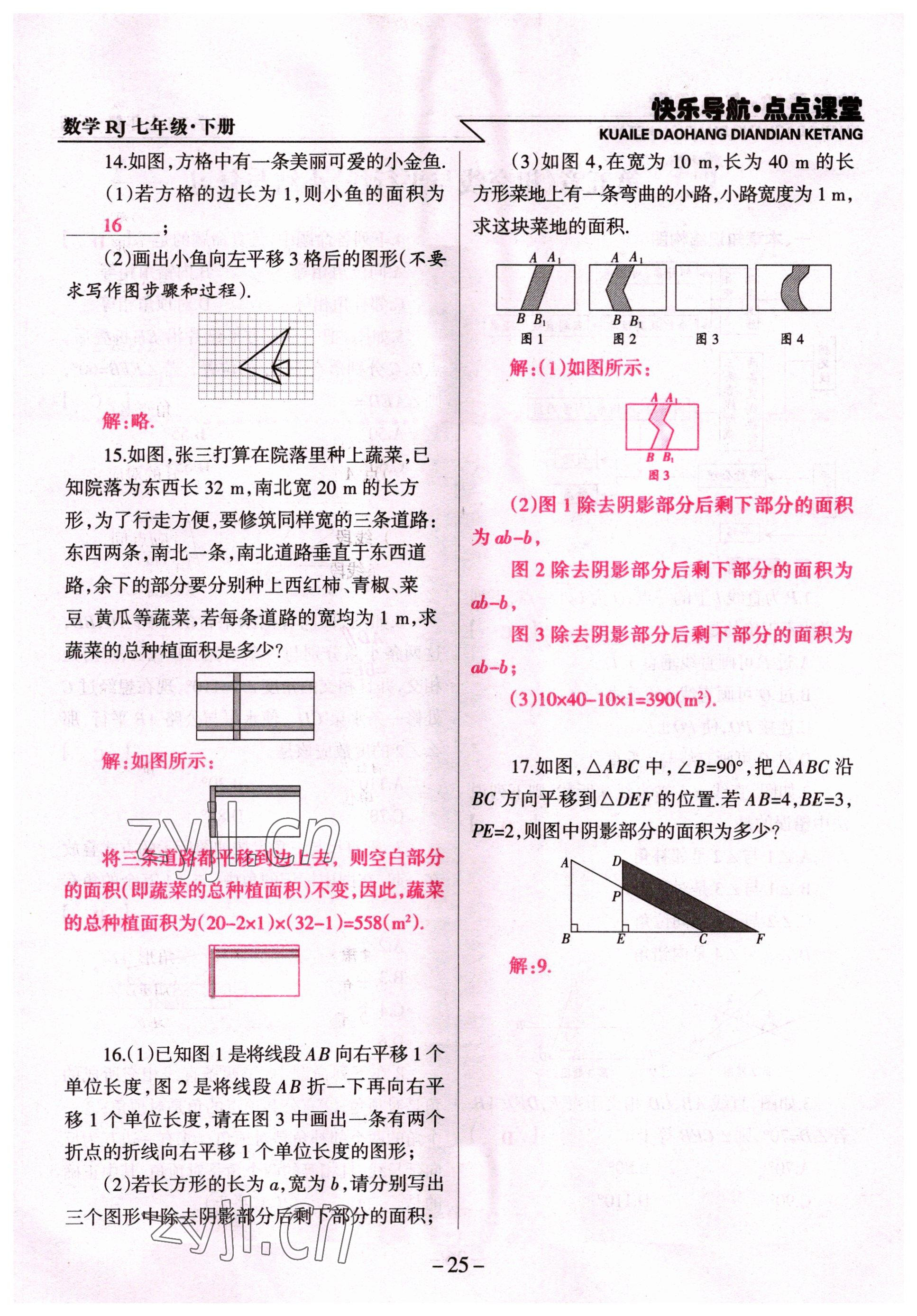 2022年快樂導(dǎo)航點(diǎn)點(diǎn)課堂七年級(jí)數(shù)學(xué)下冊(cè)人教版 參考答案第25頁