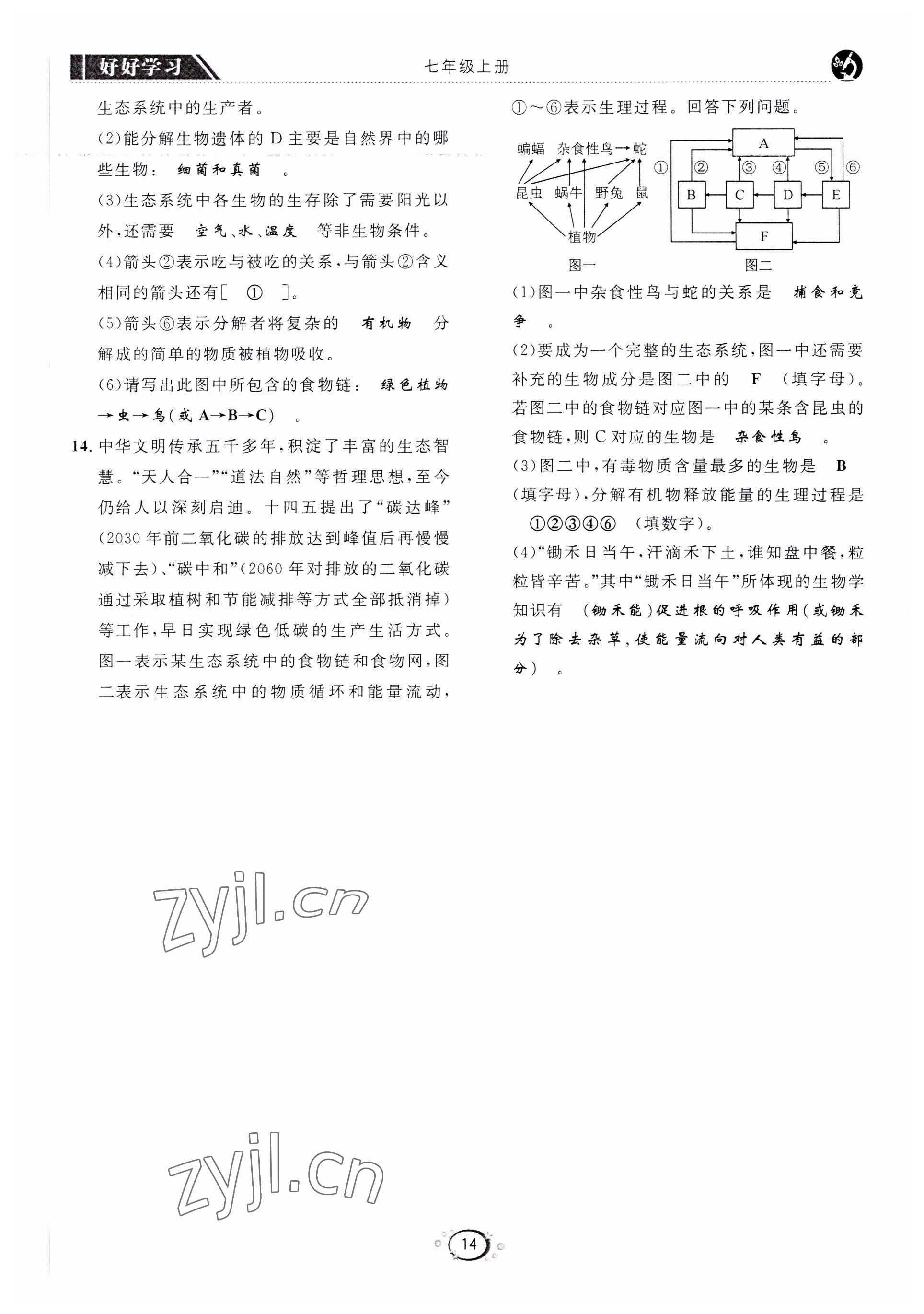 2022年好好學(xué)習(xí)同步訓(xùn)練七年級生物上冊人教版 第17頁