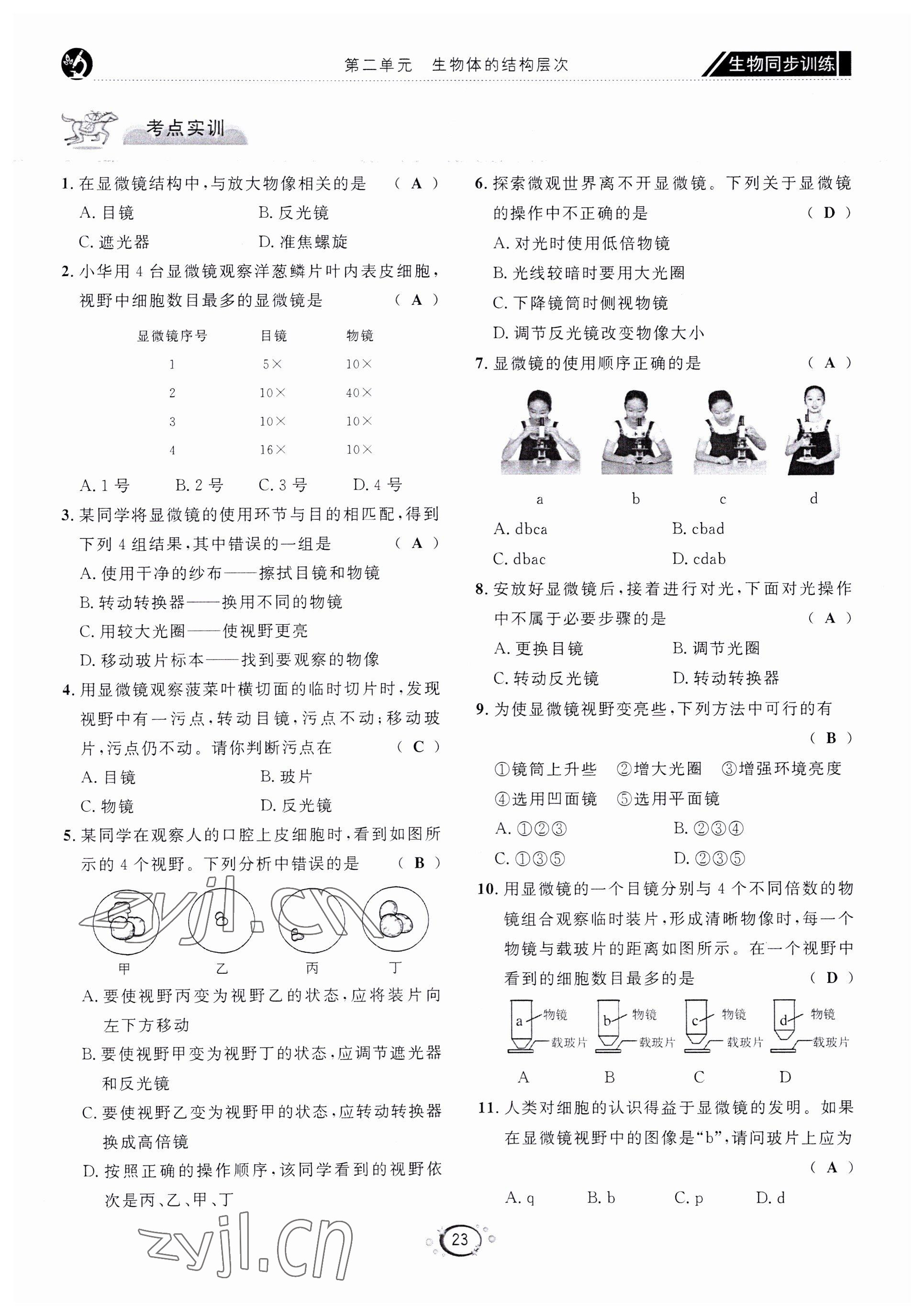 2022年好好學習同步訓練七年級生物上冊人教版 第26頁