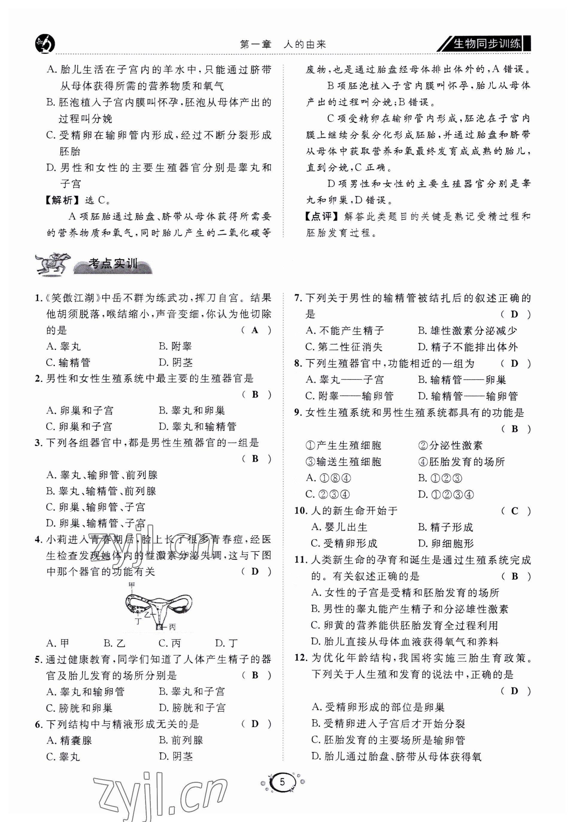 2022年好好學(xué)習(xí)同步訓(xùn)練七年級生物下冊人教版 第8頁