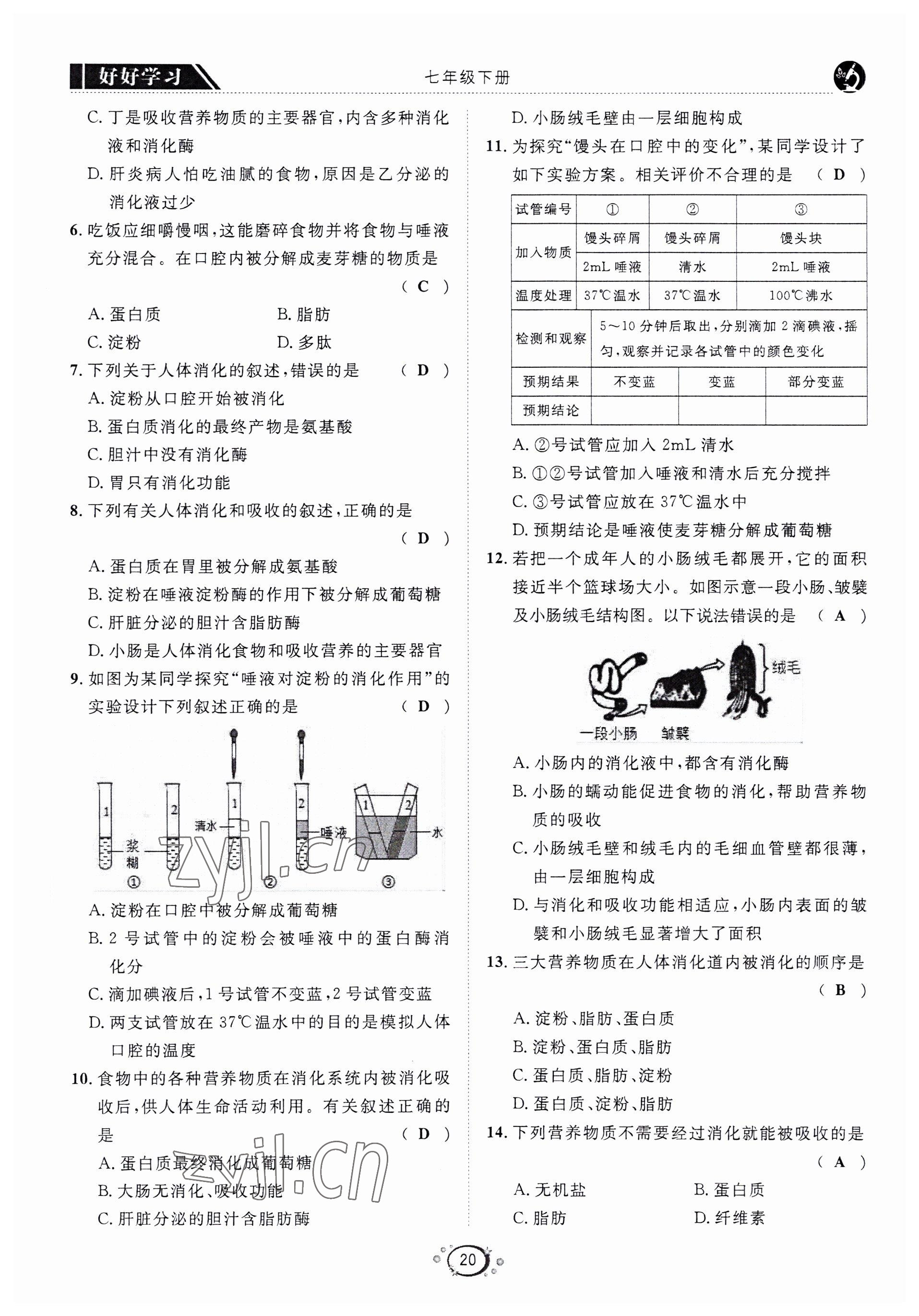 2022年好好學(xué)習(xí)同步訓(xùn)練七年級(jí)生物下冊(cè)人教版 第23頁(yè)