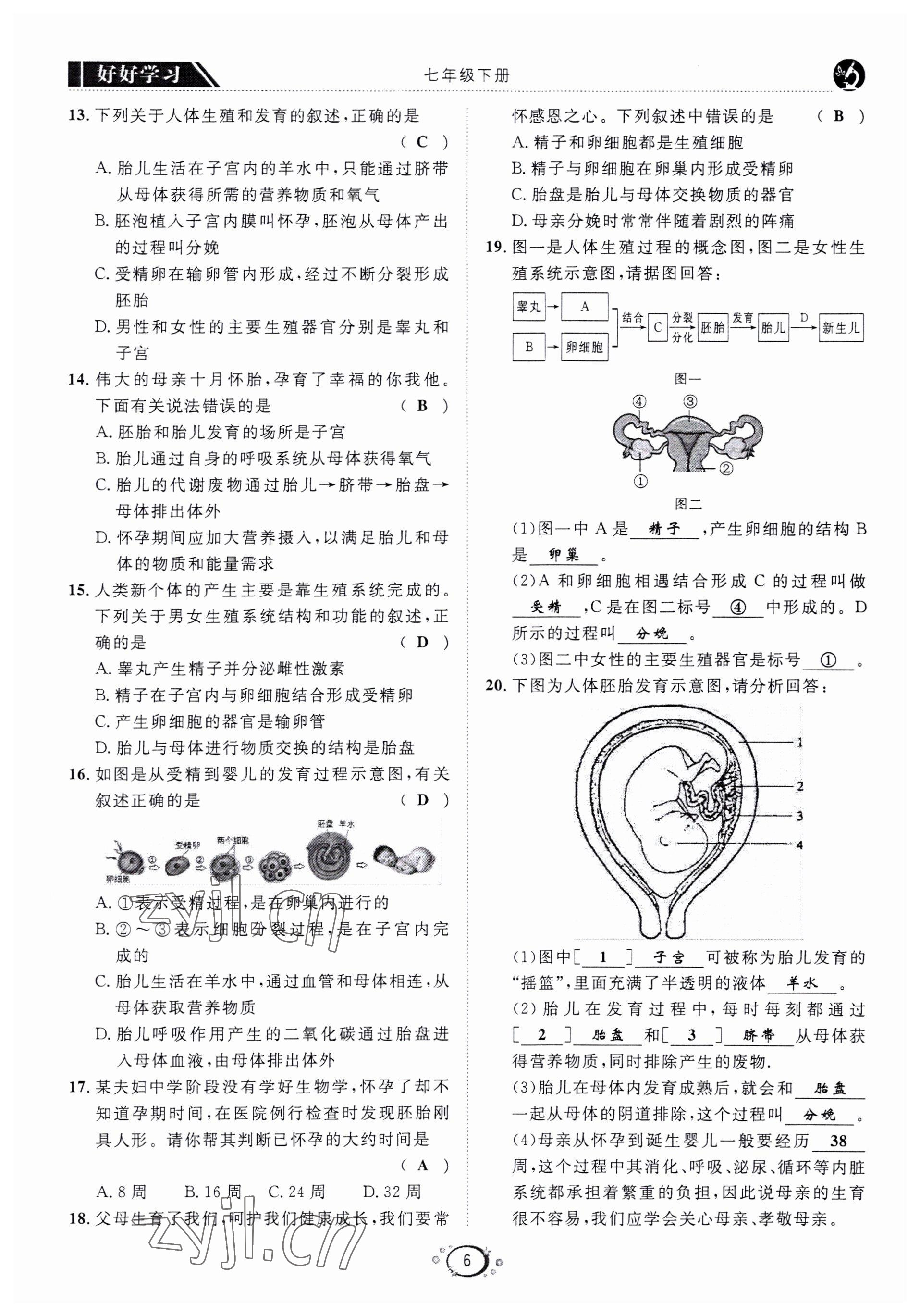 2022年好好學(xué)習(xí)同步訓(xùn)練七年級生物下冊人教版 第9頁