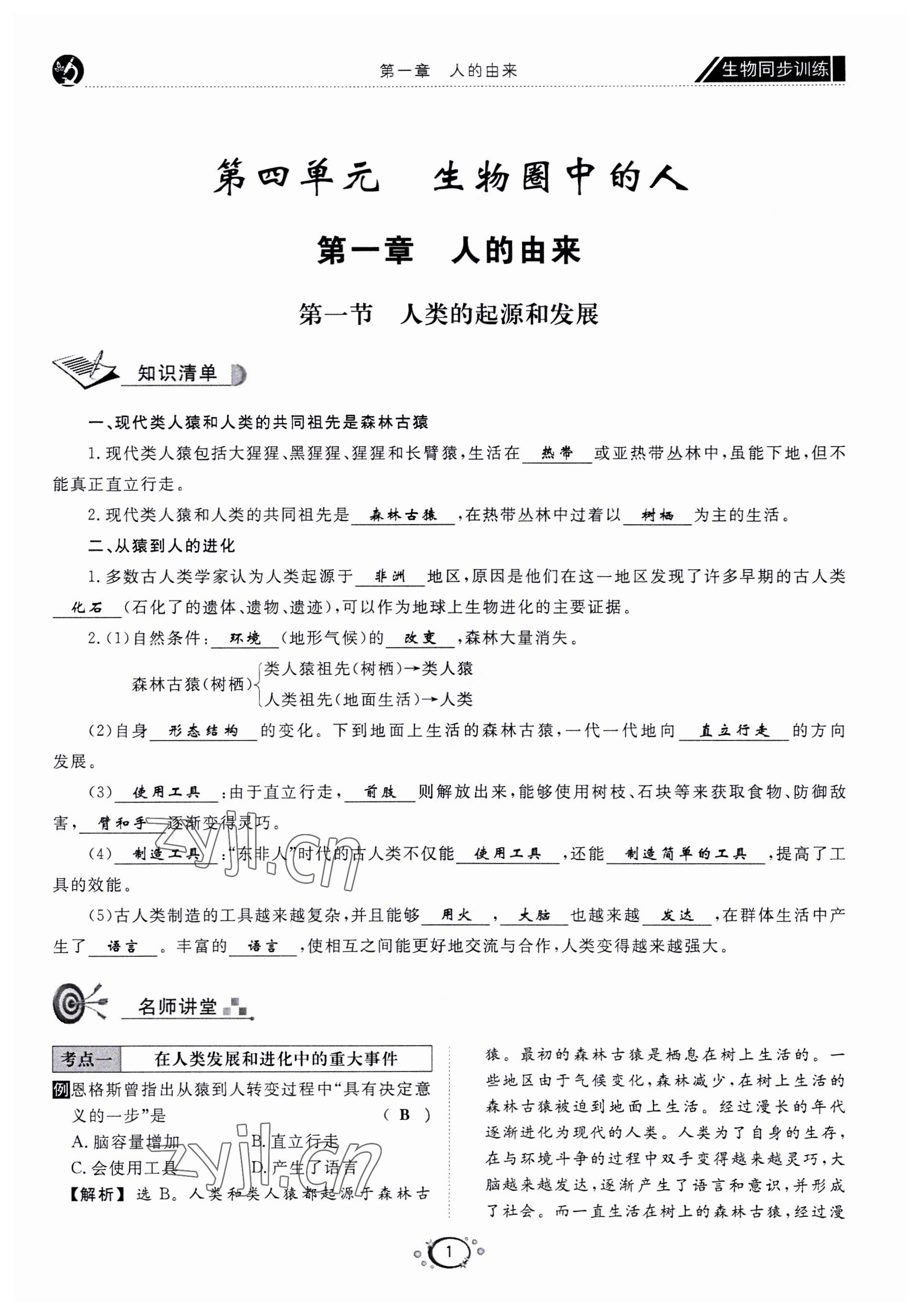 2022年好好學(xué)習(xí)同步訓(xùn)練七年級生物下冊人教版 第4頁