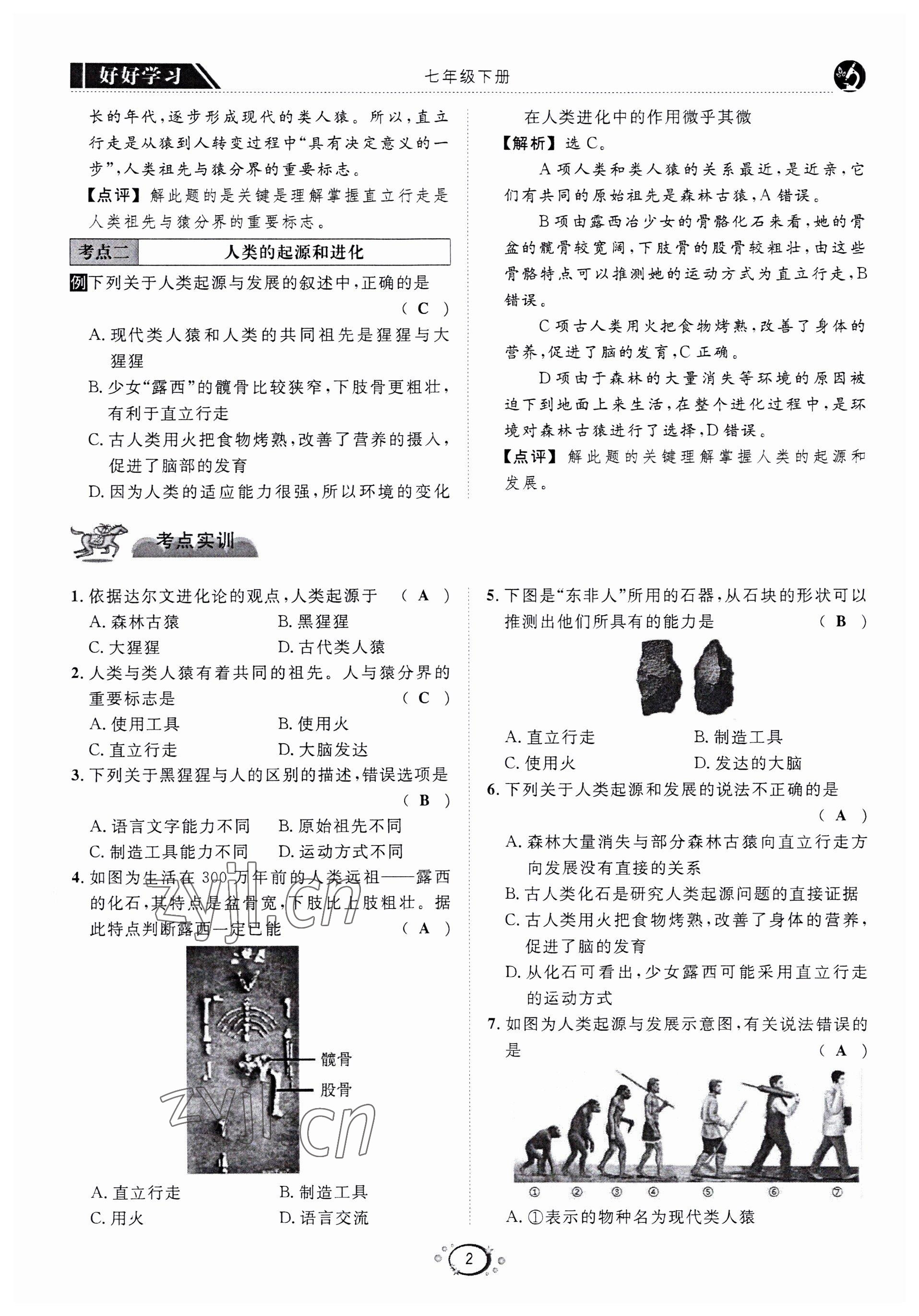 2022年好好學(xué)習(xí)同步訓(xùn)練七年級(jí)生物下冊(cè)人教版 第5頁(yè)