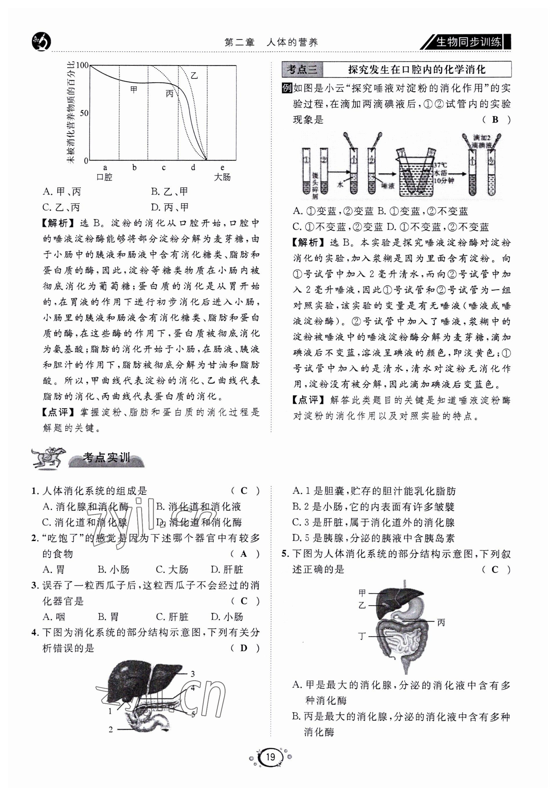 2022年好好學(xué)習(xí)同步訓(xùn)練七年級(jí)生物下冊(cè)人教版 第22頁