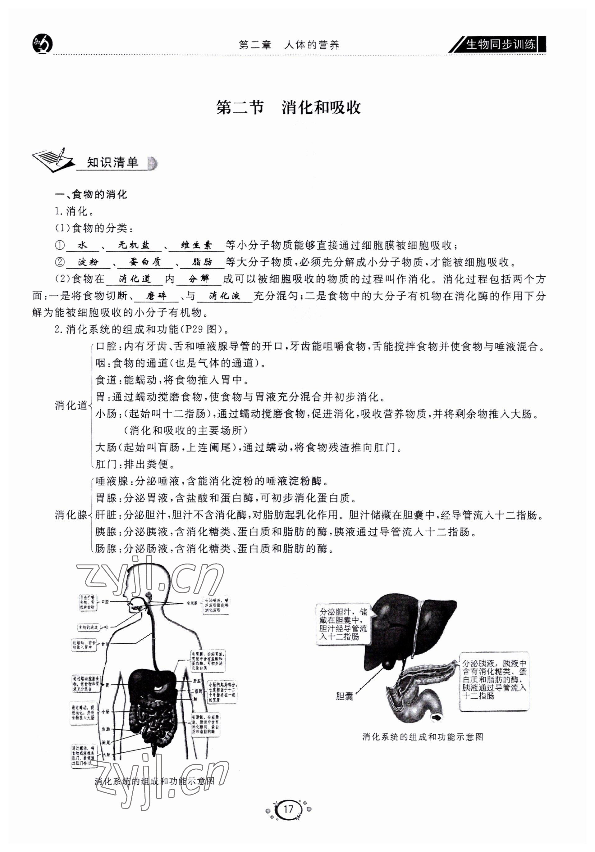 2022年好好學(xué)習(xí)同步訓(xùn)練七年級(jí)生物下冊(cè)人教版 第20頁(yè)