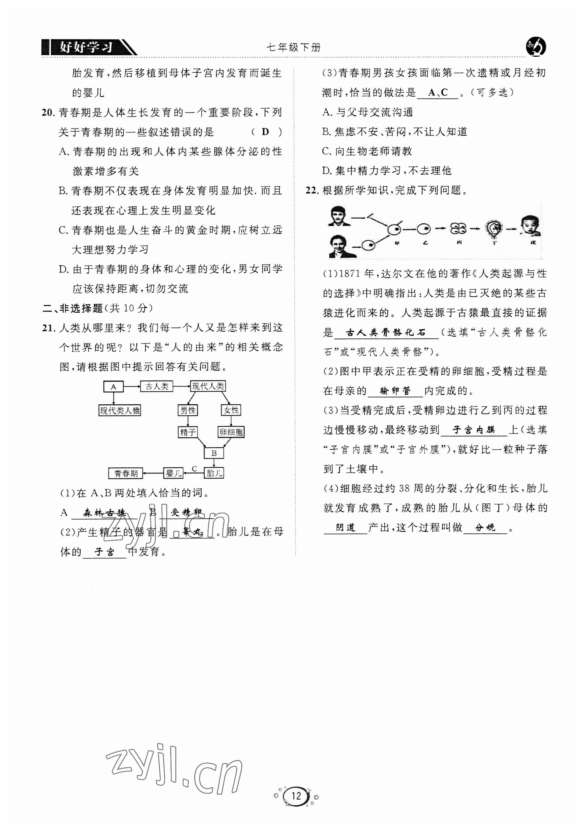 2022年好好學習同步訓練七年級生物下冊人教版 第15頁