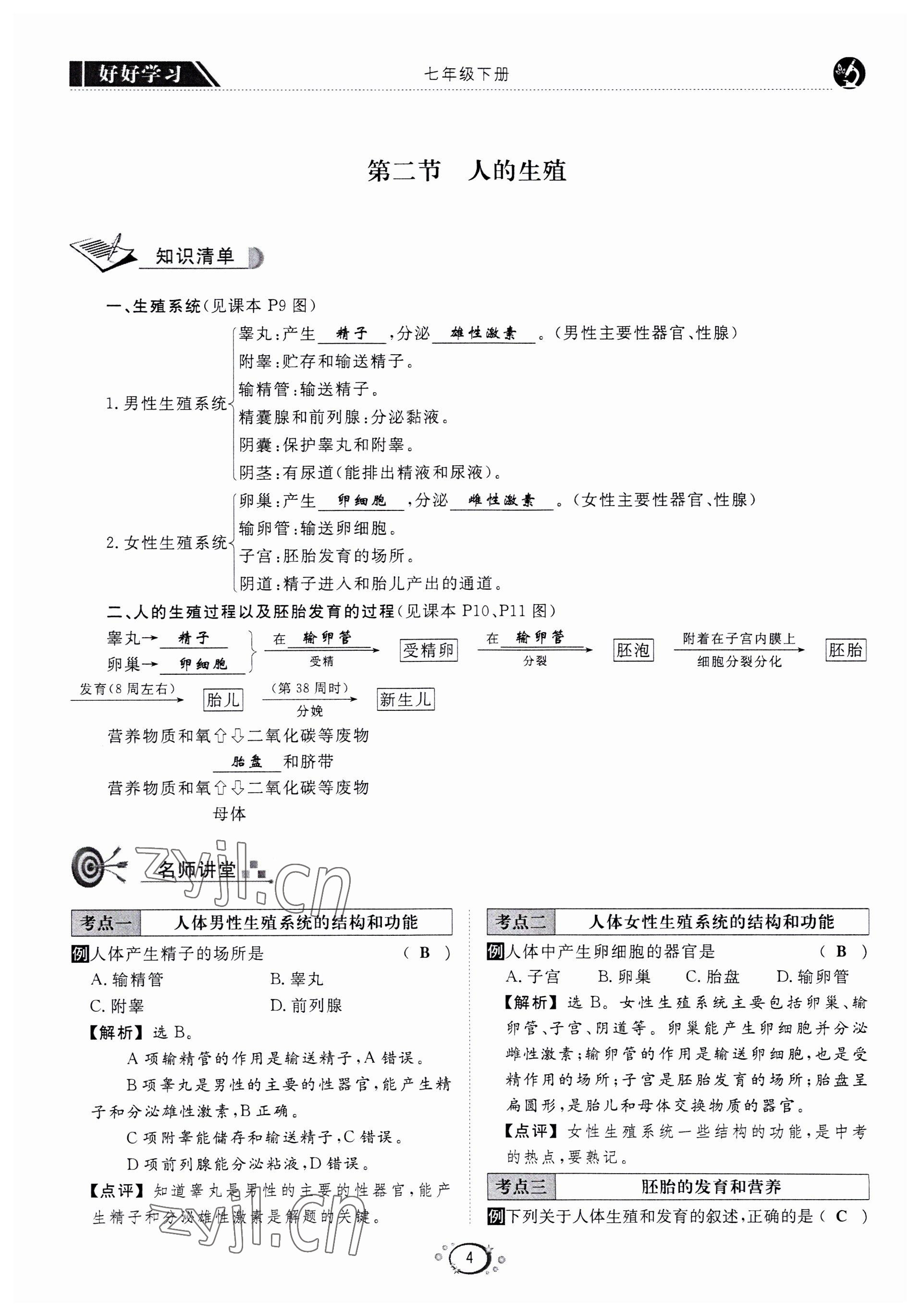 2022年好好學(xué)習(xí)同步訓(xùn)練七年級生物下冊人教版 第7頁