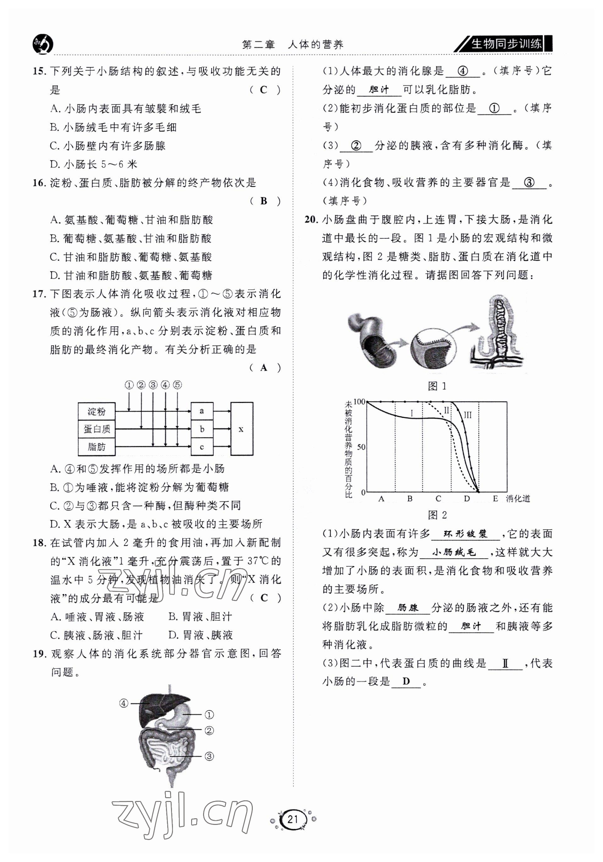 2022年好好學(xué)習(xí)同步訓(xùn)練七年級生物下冊人教版 第24頁