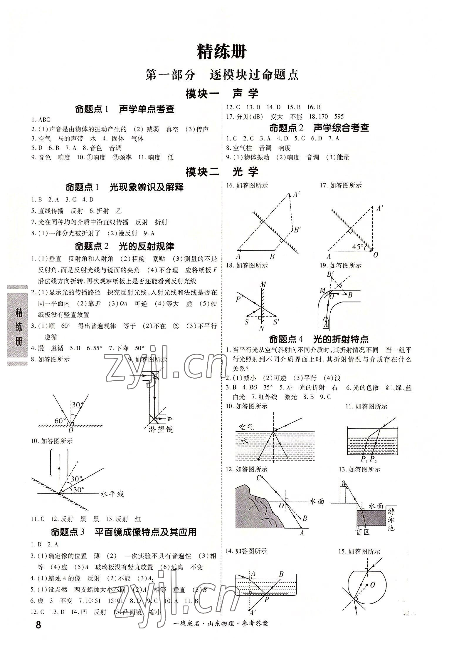 2022年一戰(zhàn)成名中考備考新思路物理山東專版 第8頁