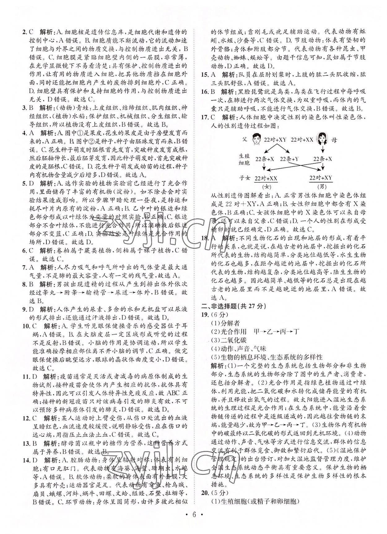 2022年正大图书中考试题汇编生物山东专版 参考答案第6页