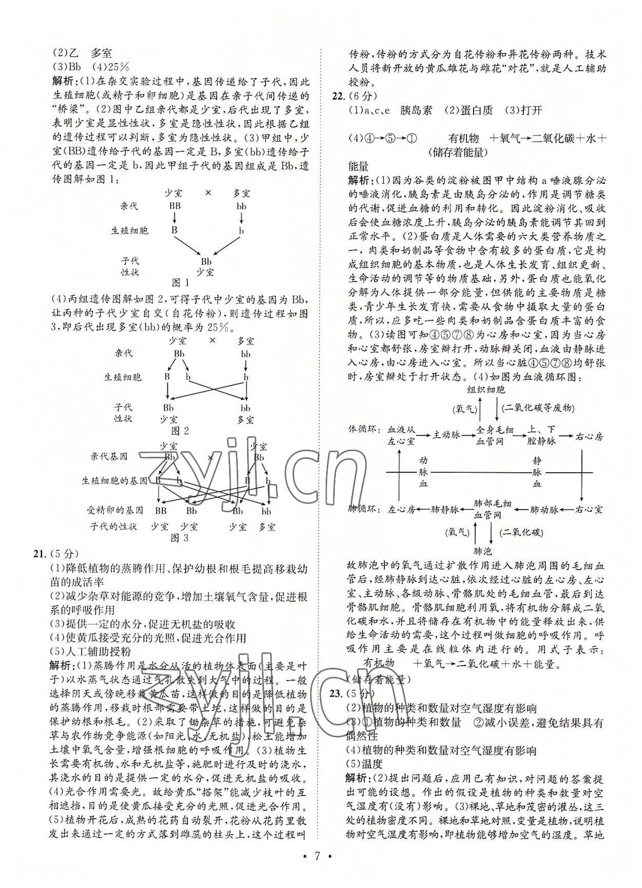 2022年正大图书中考试题汇编生物山东专版 参考答案第7页