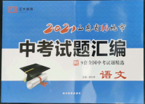 2022年正大圖書中考試題匯編語(yǔ)文山東專版