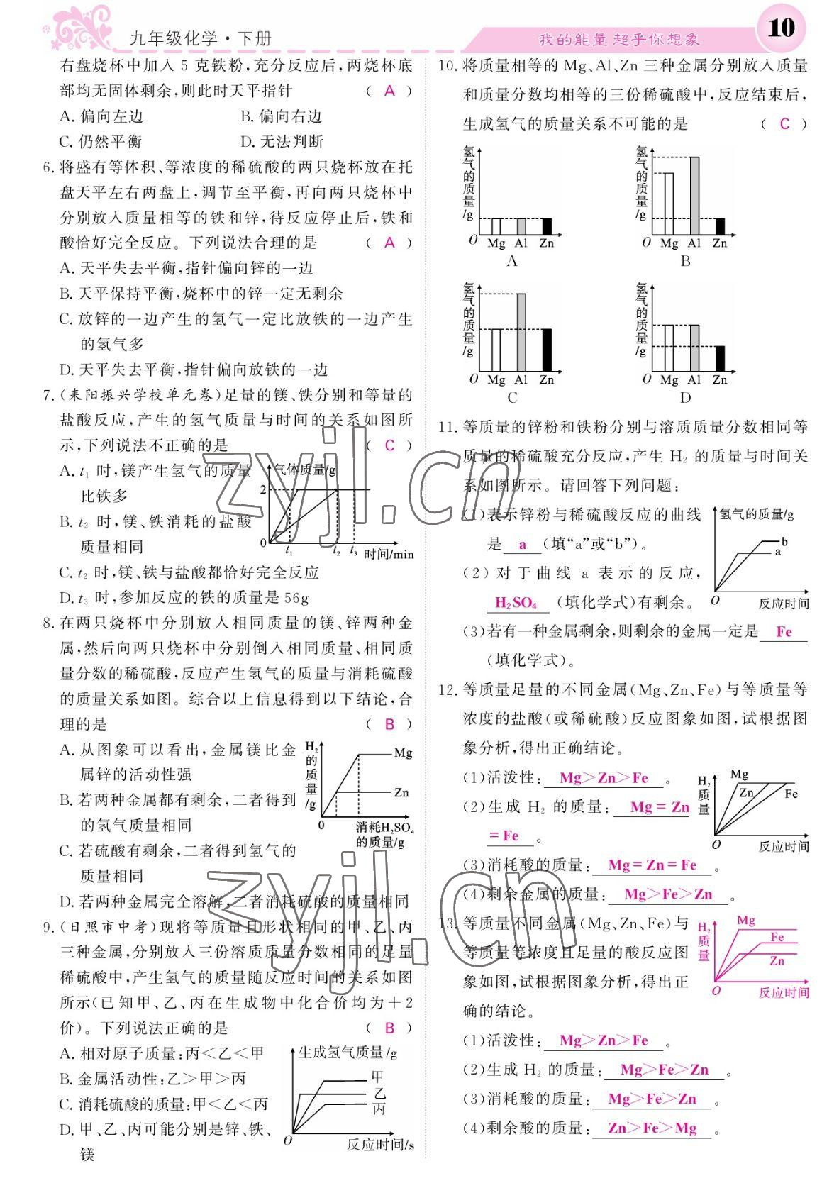 2022年課堂點(diǎn)睛九年級化學(xué)下冊人教版湖南專版 參考答案第10頁