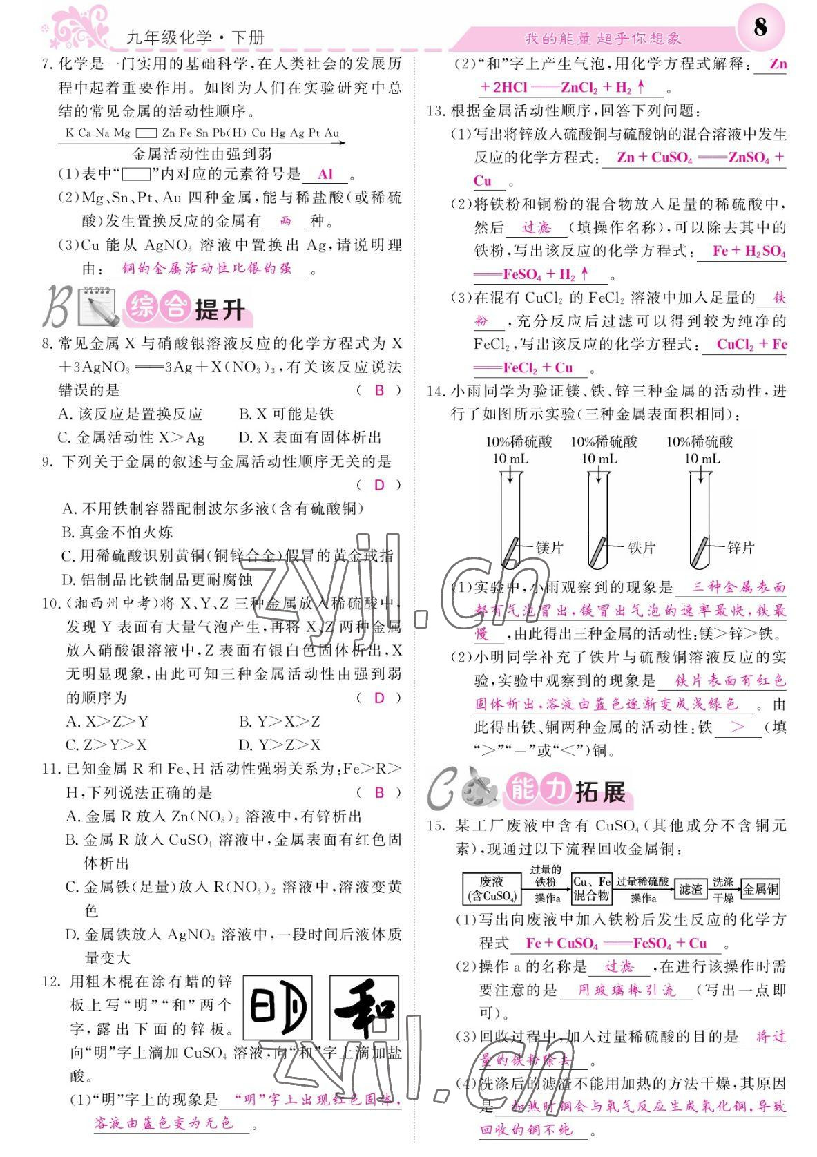 2022年課堂點(diǎn)睛九年級化學(xué)下冊人教版湖南專版 參考答案第8頁