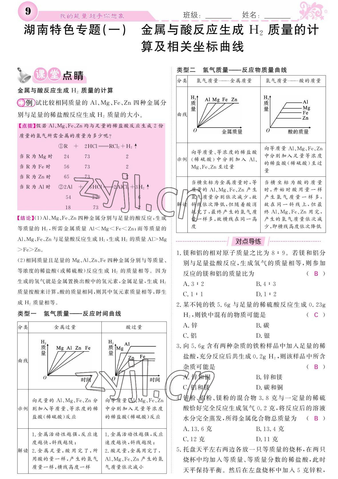 2022年課堂點(diǎn)睛九年級(jí)化學(xué)下冊(cè)人教版湖南專版 參考答案第9頁(yè)