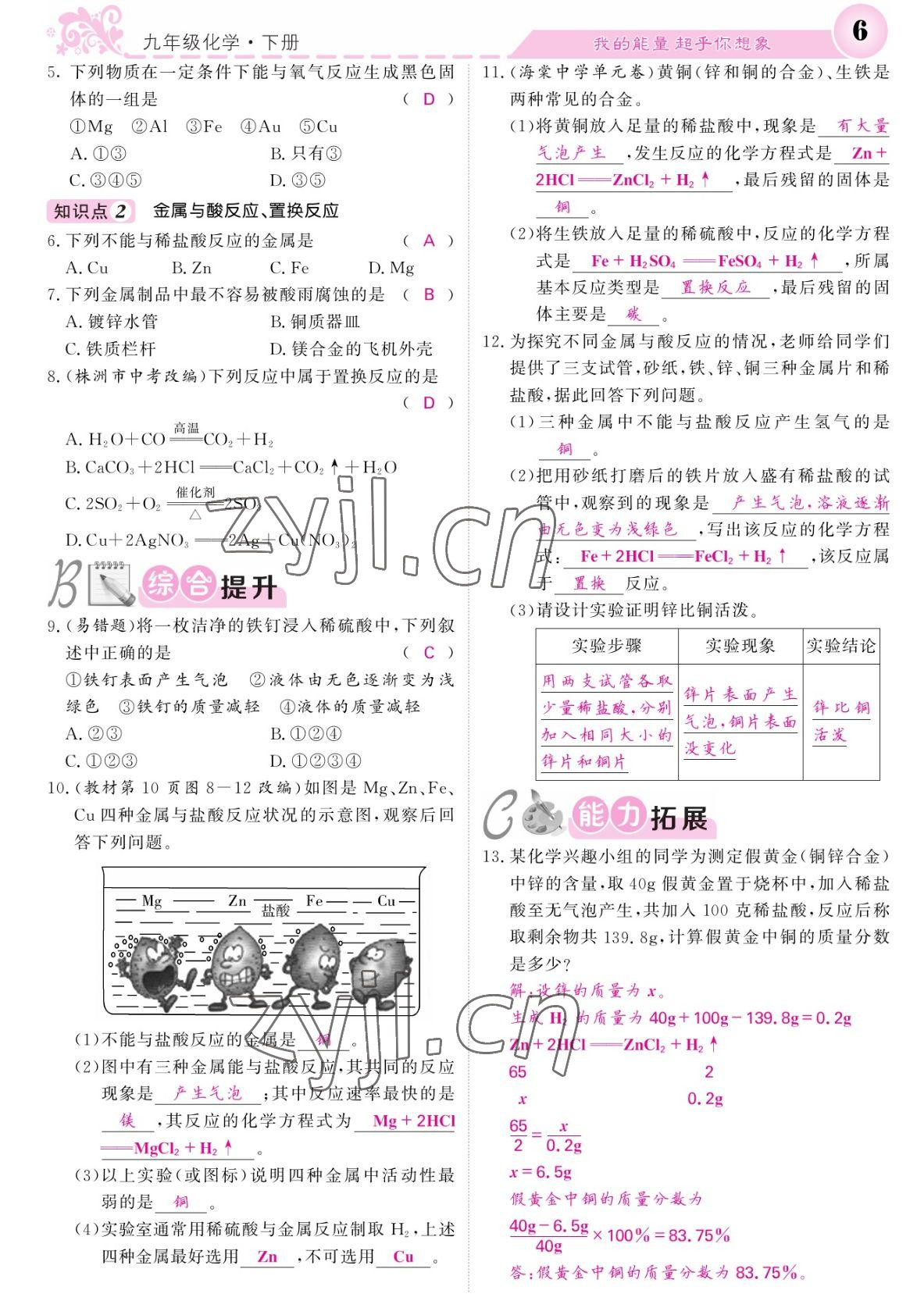 2022年課堂點睛九年級化學(xué)下冊人教版湖南專版 參考答案第6頁