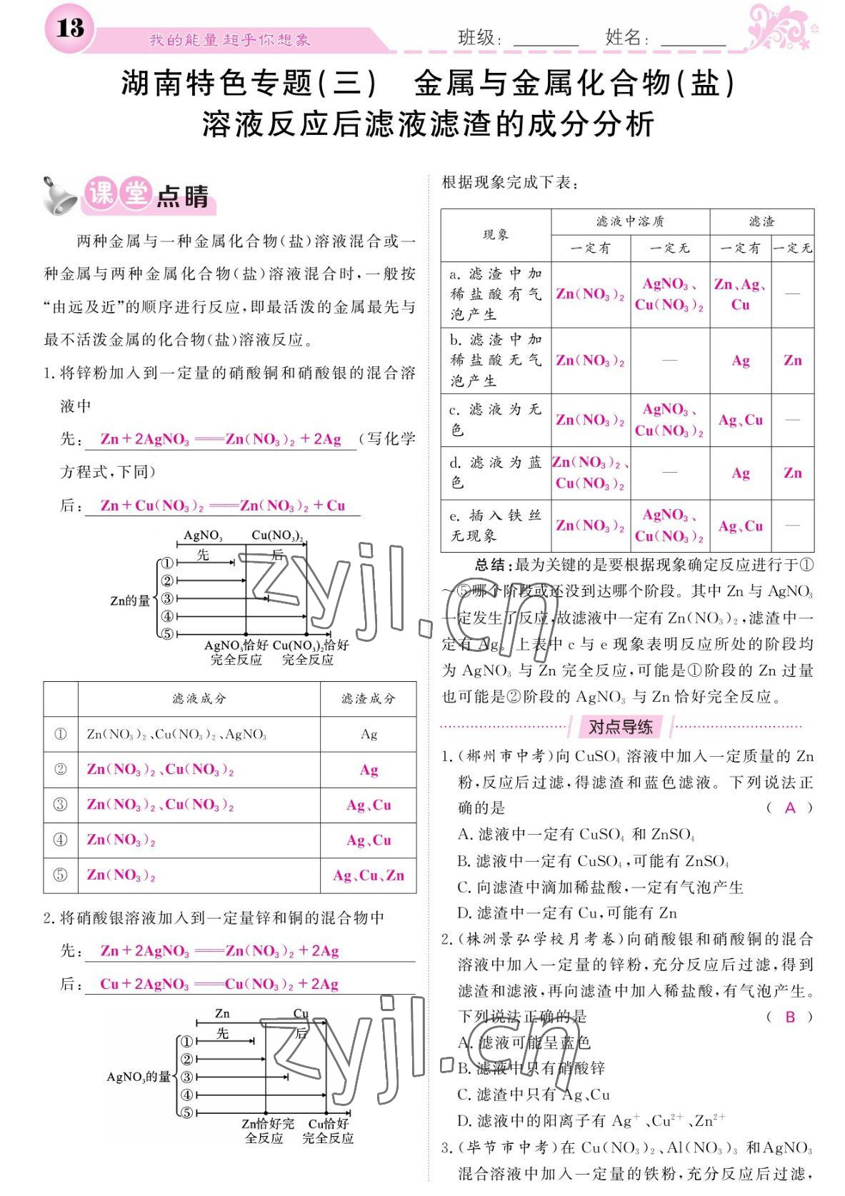 2022年課堂點睛九年級化學(xué)下冊人教版湖南專版 參考答案第13頁