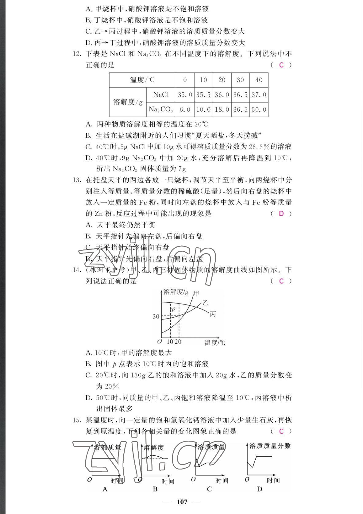 2022年課堂點(diǎn)睛九年級化學(xué)下冊人教版湖南專版 參考答案第15頁