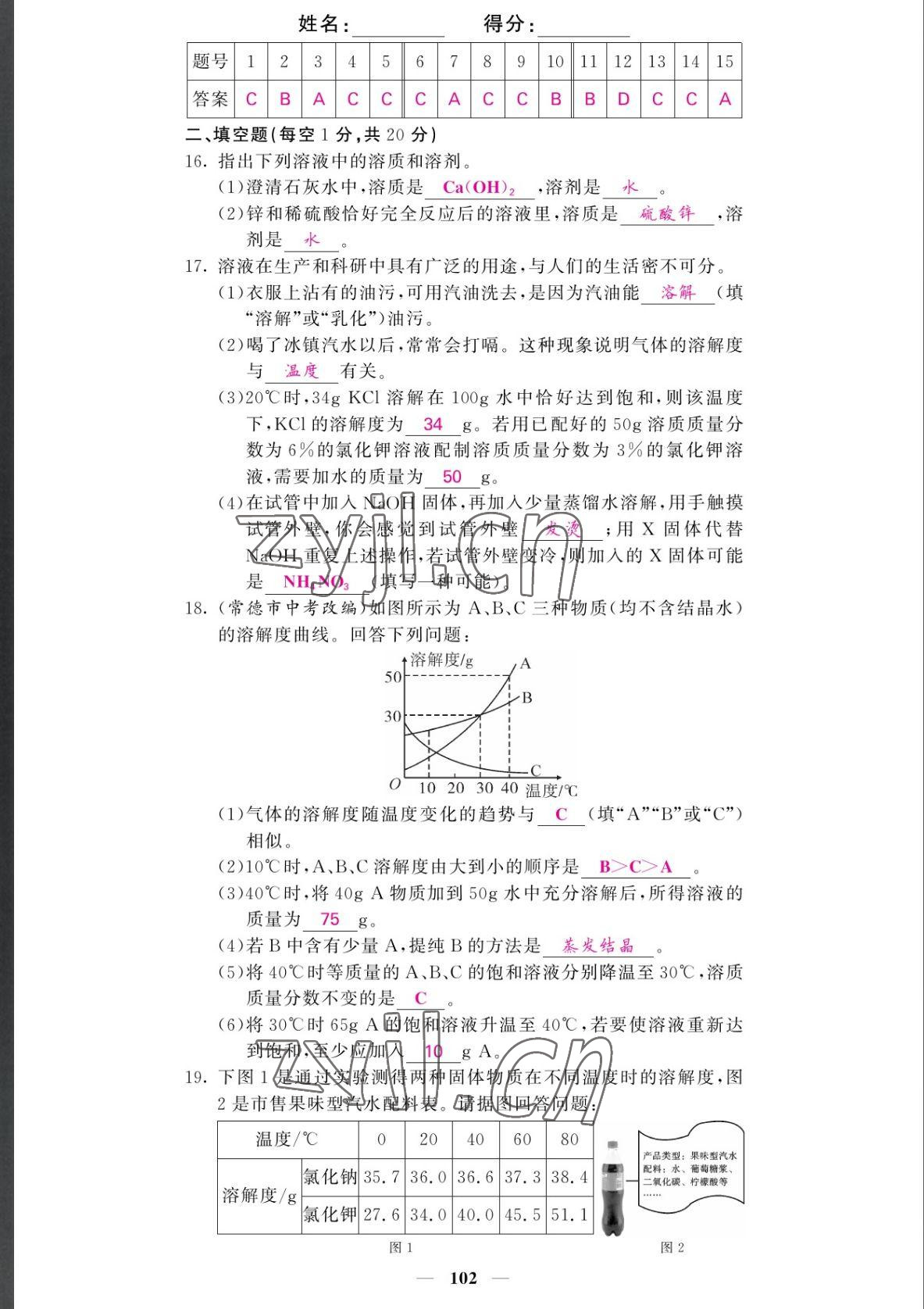 2022年課堂點(diǎn)睛九年級(jí)化學(xué)下冊(cè)人教版湖南專版 參考答案第10頁(yè)