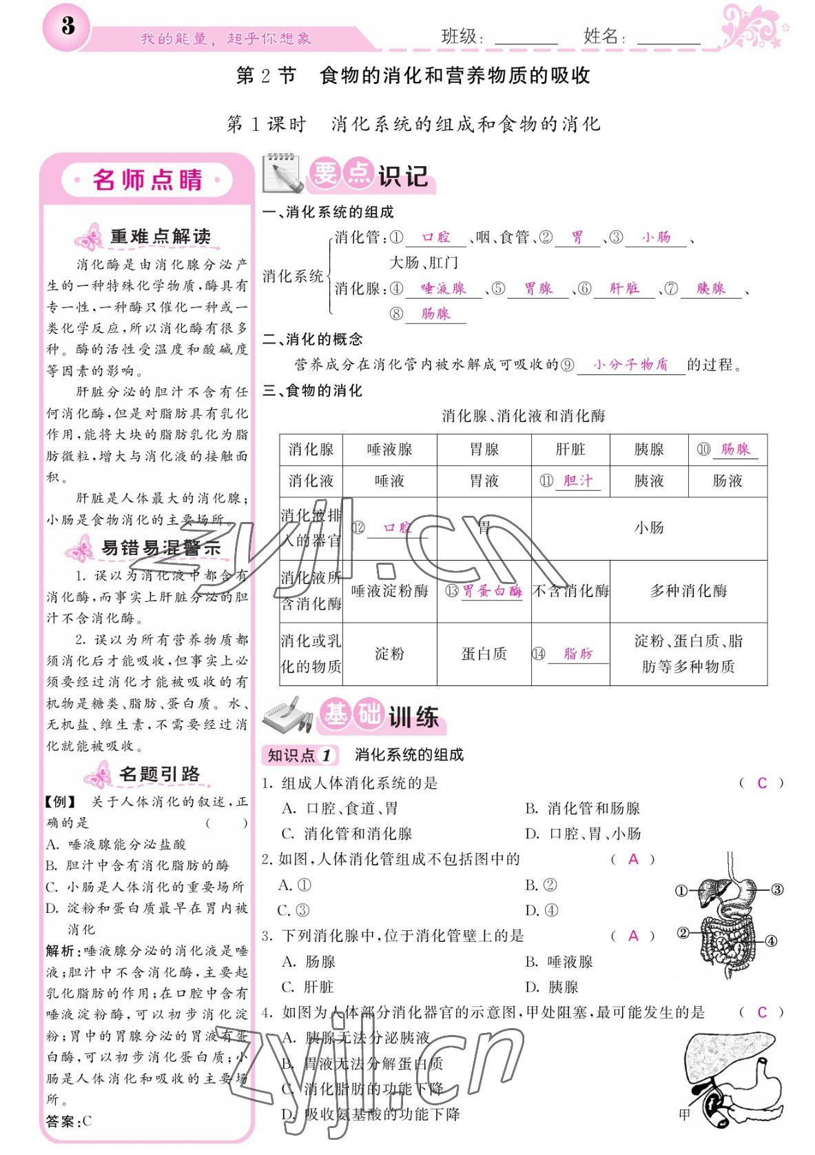 2022年課堂點(diǎn)睛七年級(jí)生物下冊(cè)北師大版 參考答案第3頁(yè)