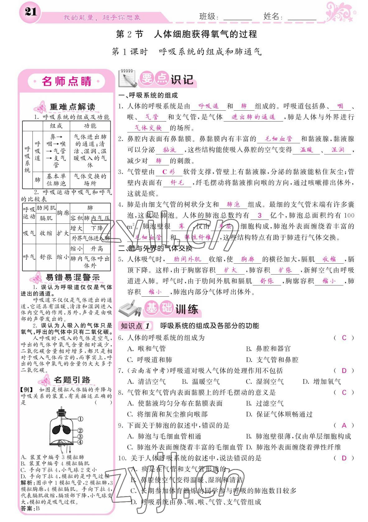 2022年課堂點(diǎn)睛七年級生物下冊北師大版 參考答案第21頁