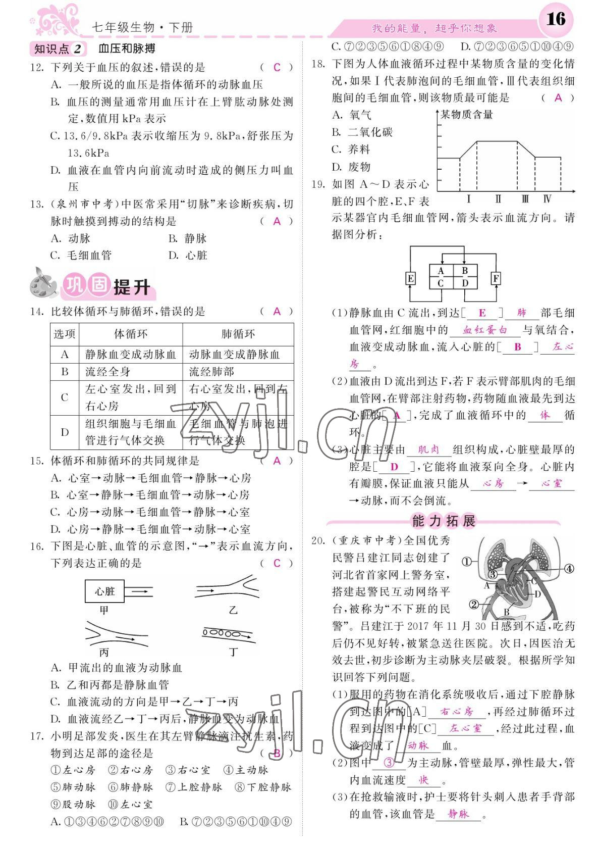 2022年課堂點睛七年級生物下冊北師大版 參考答案第16頁