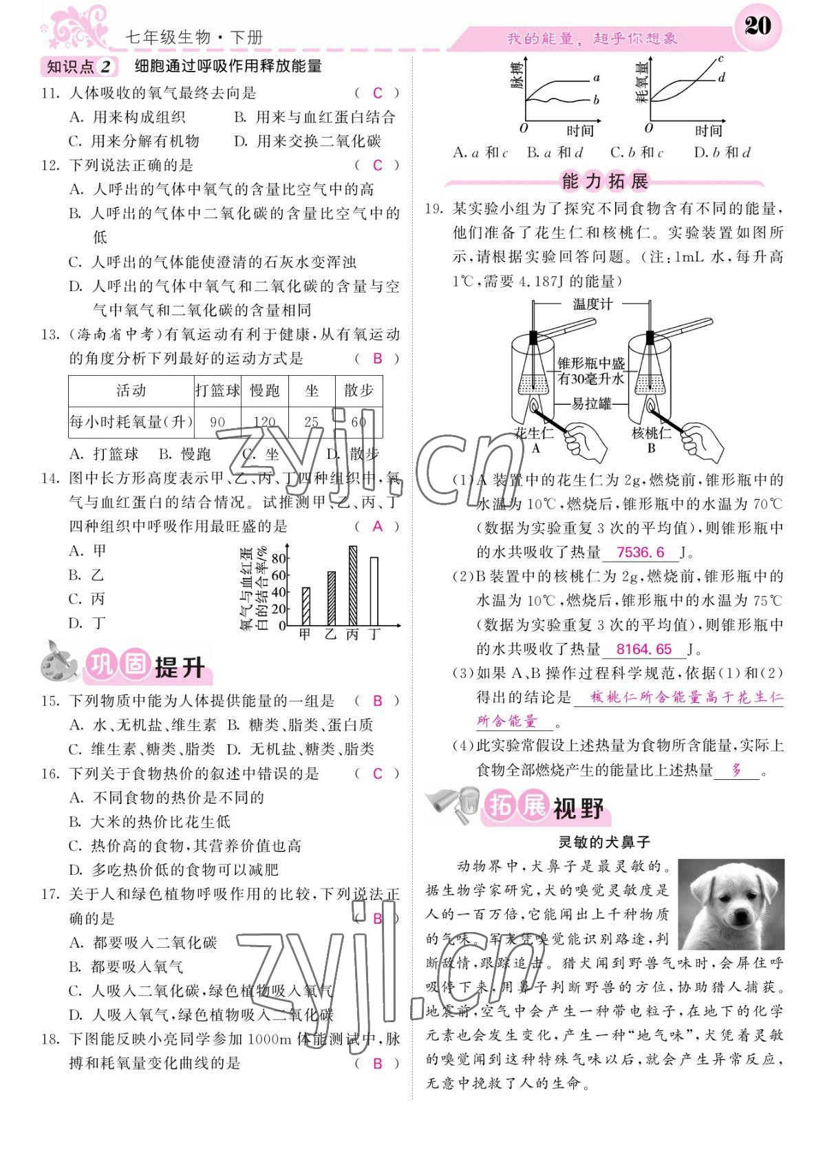 2022年課堂點(diǎn)睛七年級(jí)生物下冊(cè)北師大版 參考答案第20頁(yè)