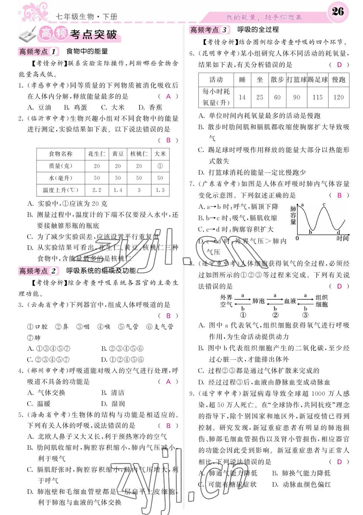 2022年課堂點睛七年級生物下冊北師大版 參考答案第26頁