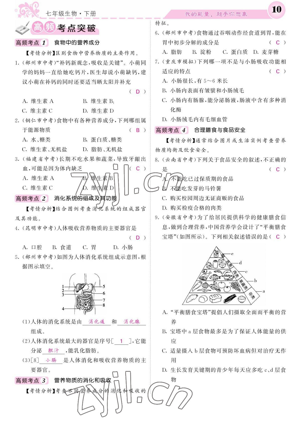 2022年課堂點睛七年級生物下冊北師大版 參考答案第10頁