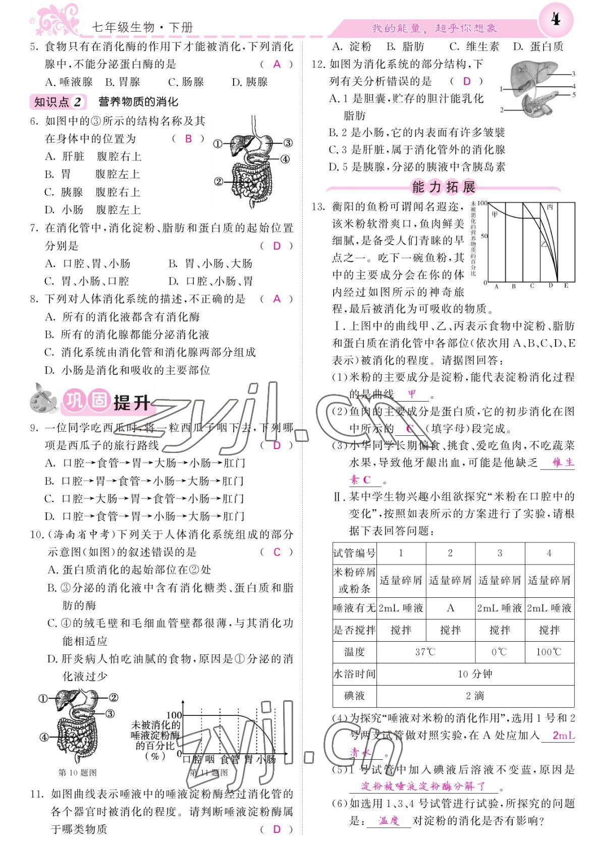 2022年課堂點睛七年級生物下冊北師大版 參考答案第4頁