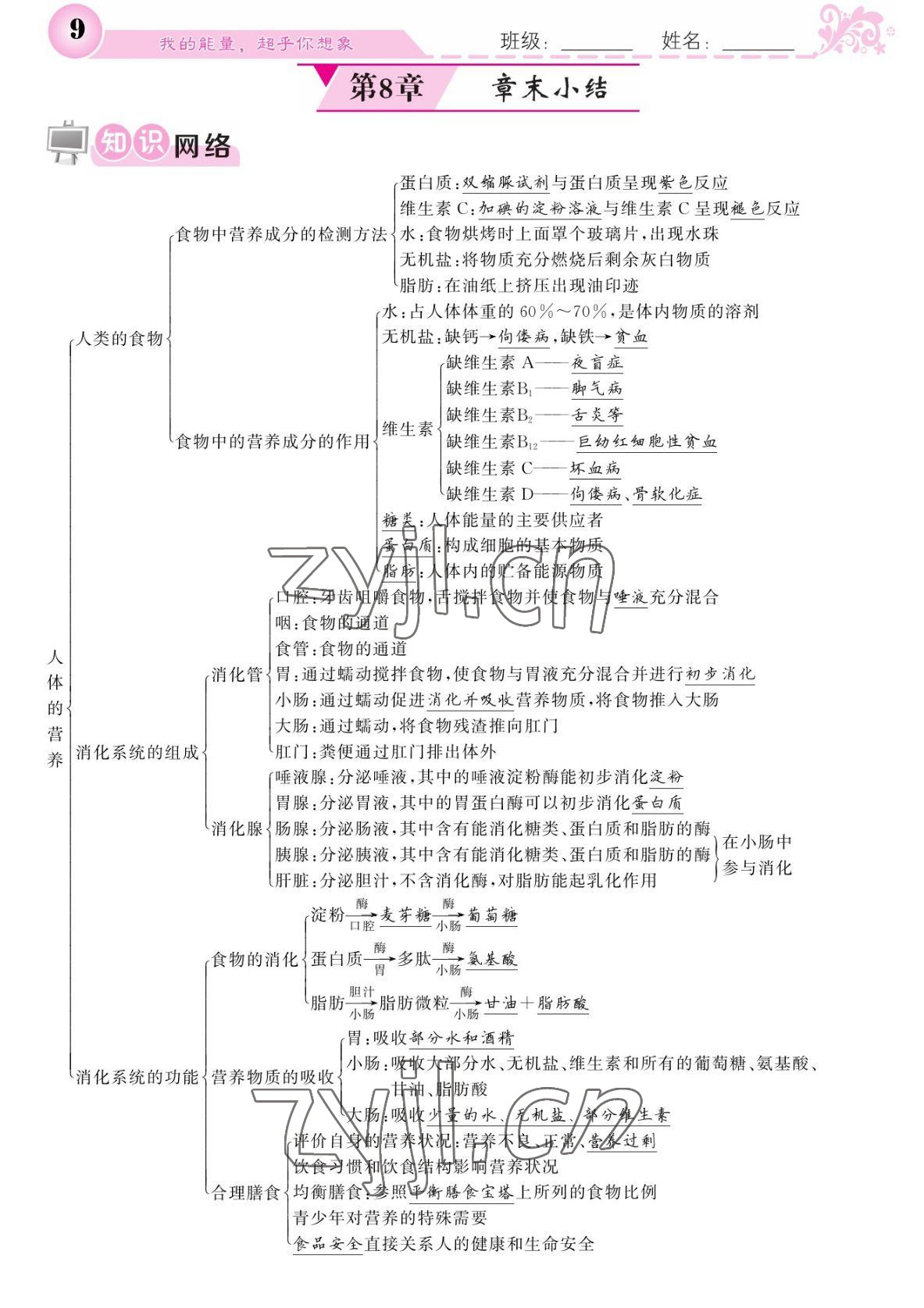 2022年課堂點(diǎn)睛七年級(jí)生物下冊(cè)北師大版 參考答案第9頁(yè)