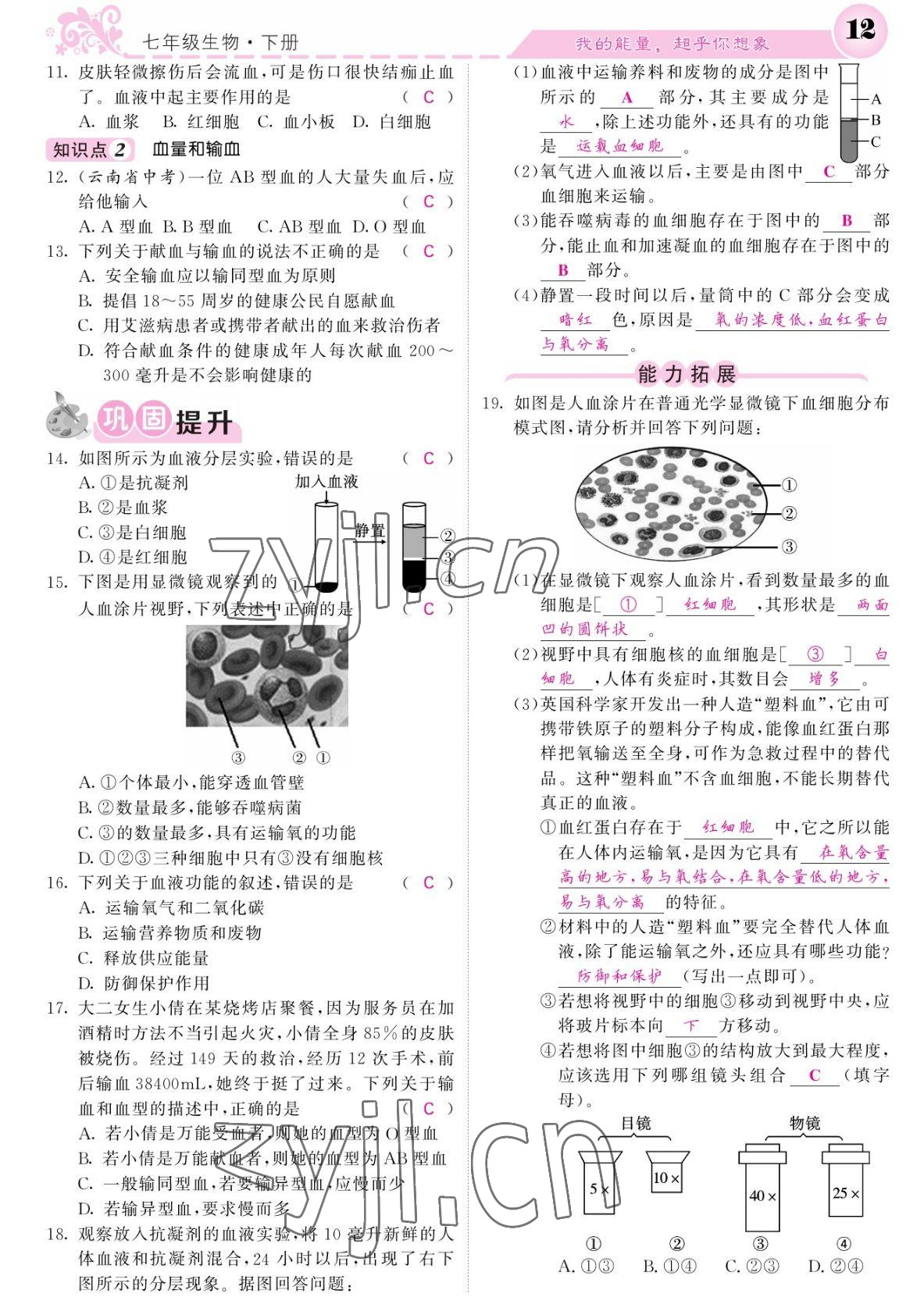 2022年課堂點(diǎn)睛七年級(jí)生物下冊(cè)北師大版 參考答案第12頁