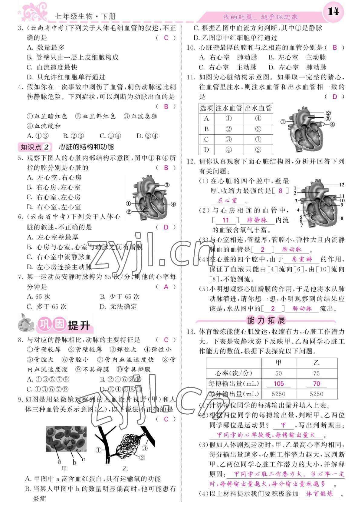 2022年課堂點(diǎn)睛七年級(jí)生物下冊(cè)北師大版 參考答案第14頁