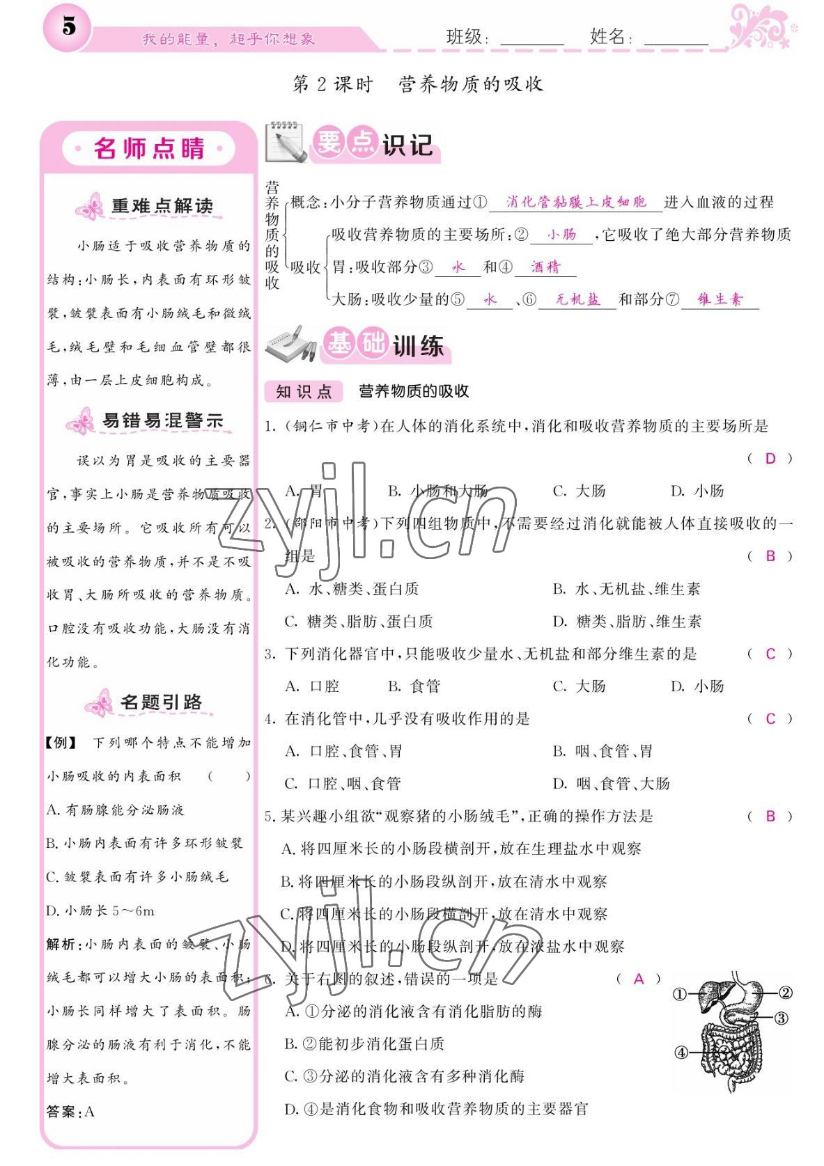 2022年課堂點睛七年級生物下冊北師大版 參考答案第5頁