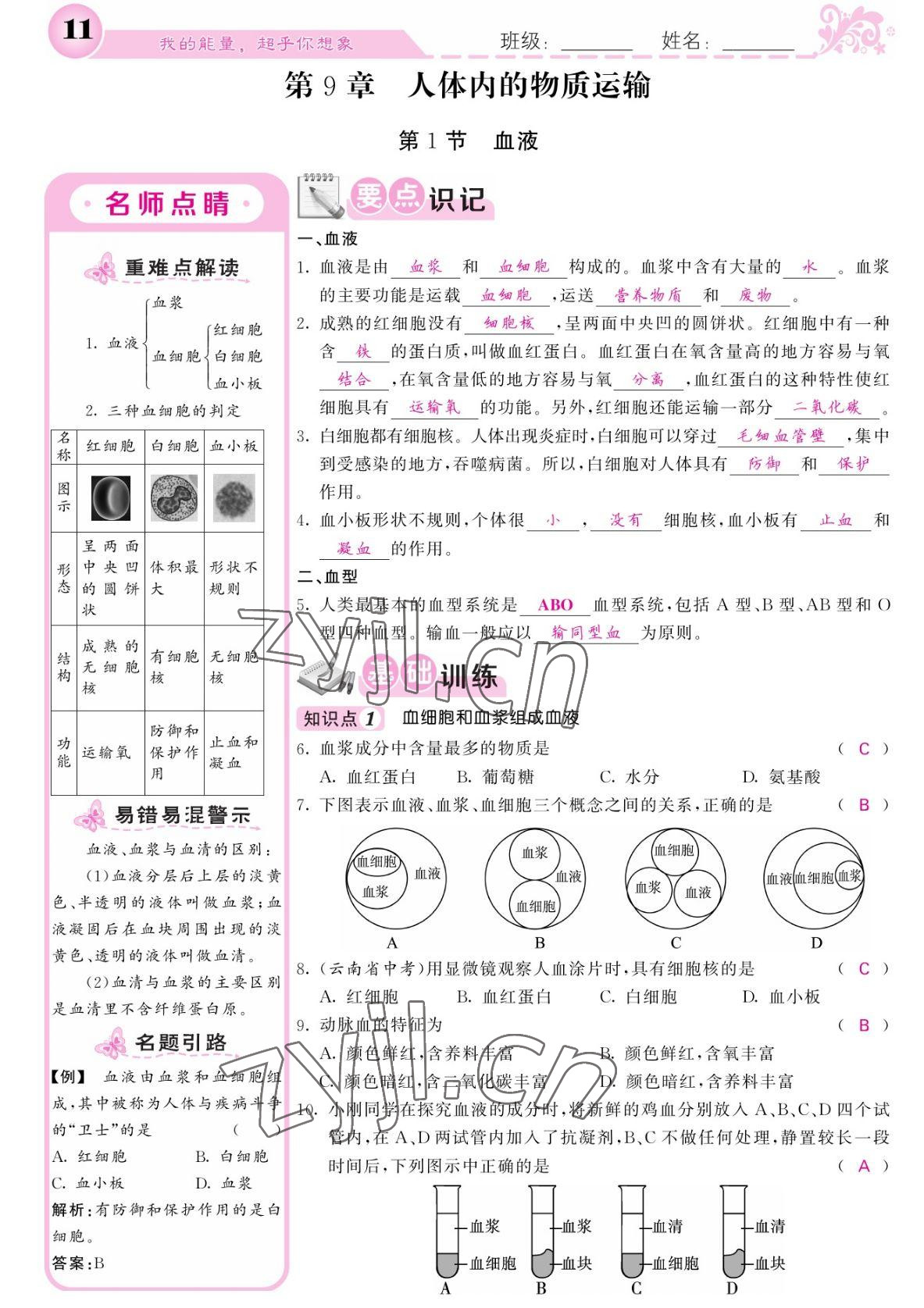 2022年課堂點(diǎn)睛七年級(jí)生物下冊(cè)北師大版 參考答案第11頁