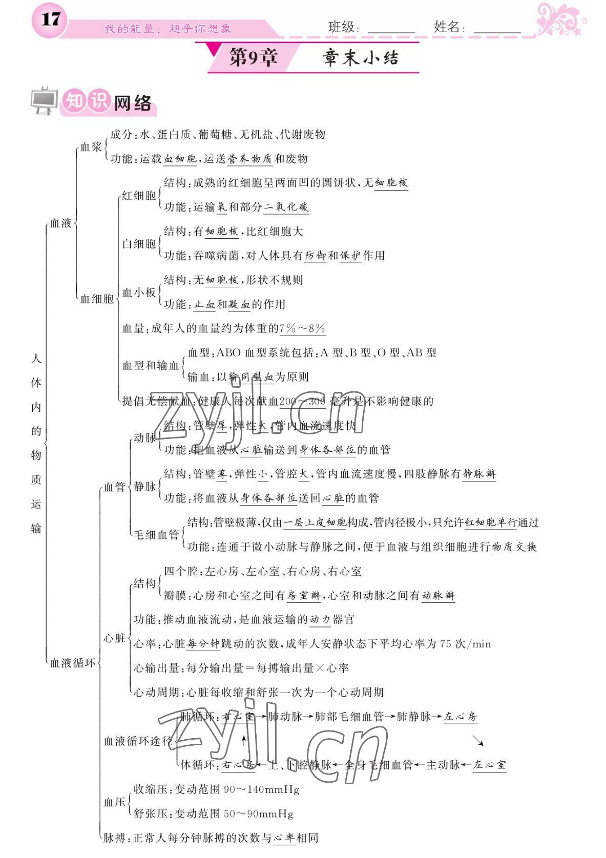 2022年課堂點(diǎn)睛七年級生物下冊北師大版 參考答案第17頁