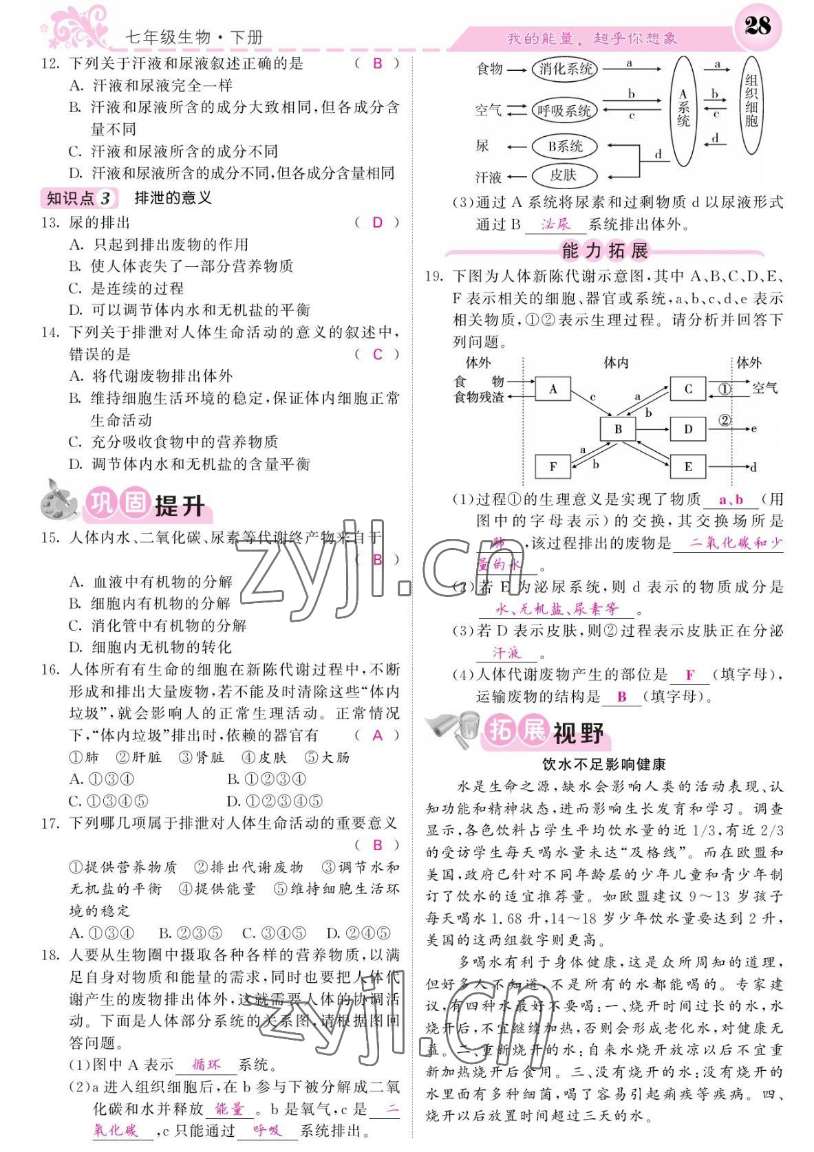 2022年課堂點睛七年級生物下冊北師大版 參考答案第28頁