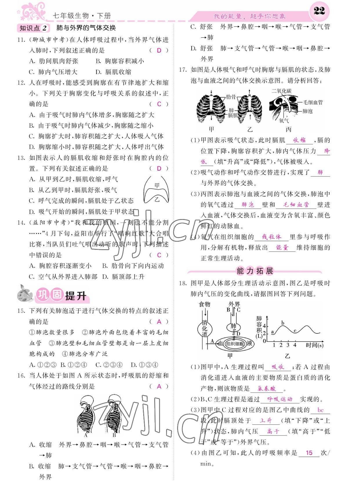 2022年課堂點睛七年級生物下冊北師大版 參考答案第22頁