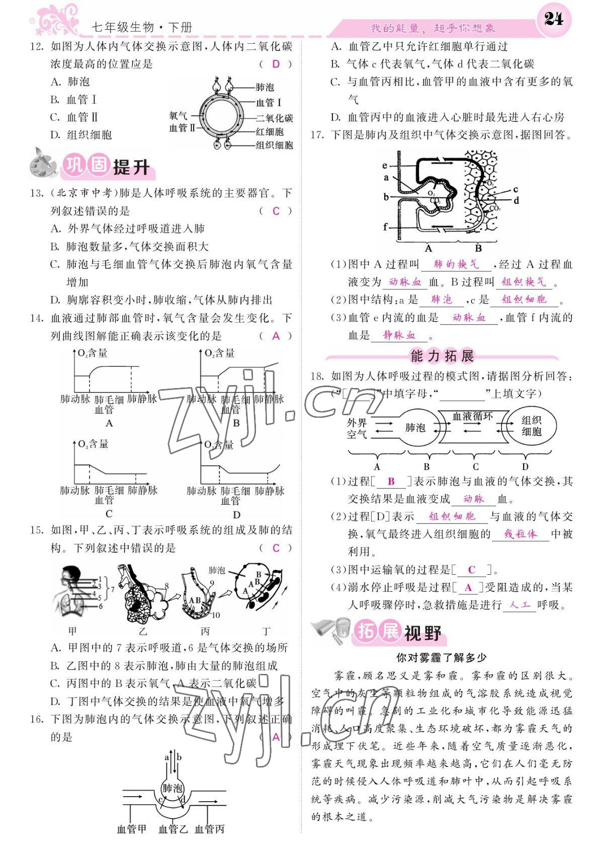 2022年課堂點睛七年級生物下冊北師大版 參考答案第24頁